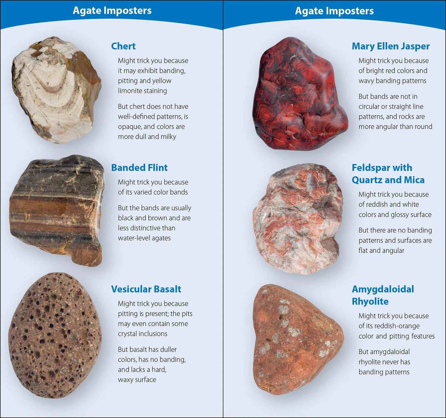 Red Rocks Identification Rock Collections For Kids PCS Rock And