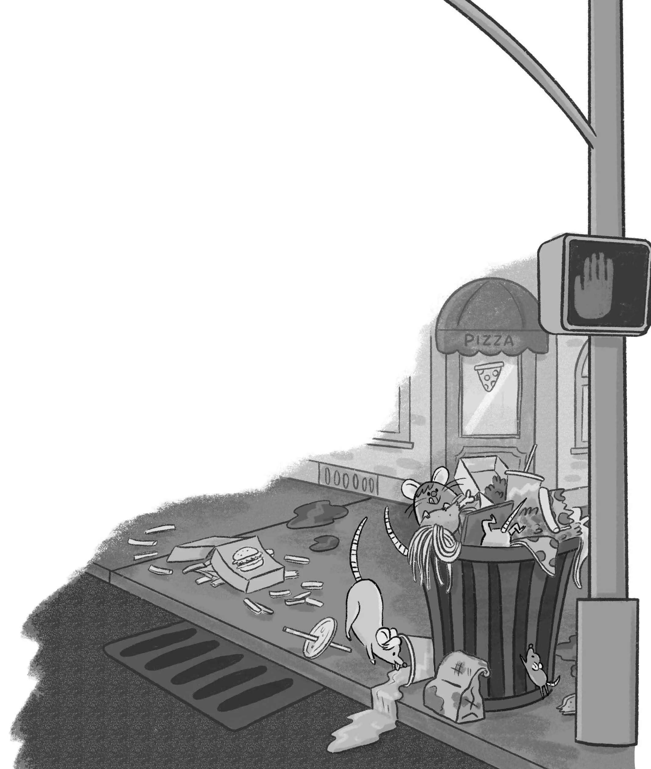 SimonSchuster_Ratnip_Book1_6 copy.jpg