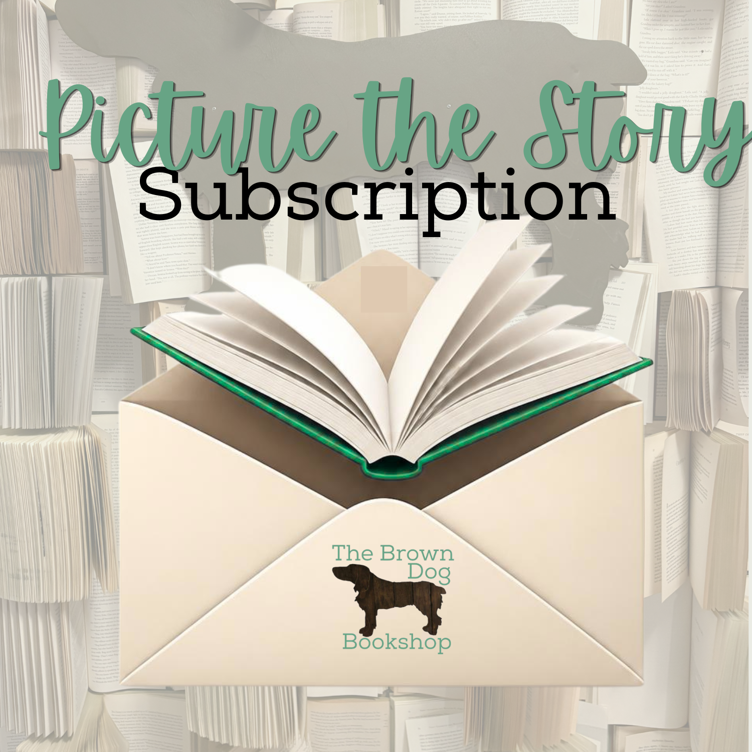Picture the Story Subscription Box