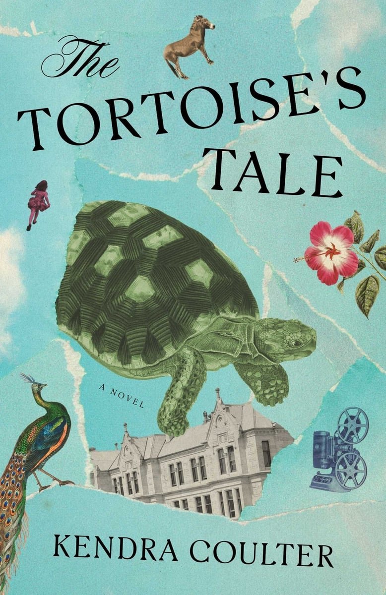 The Tortoise’s Tale