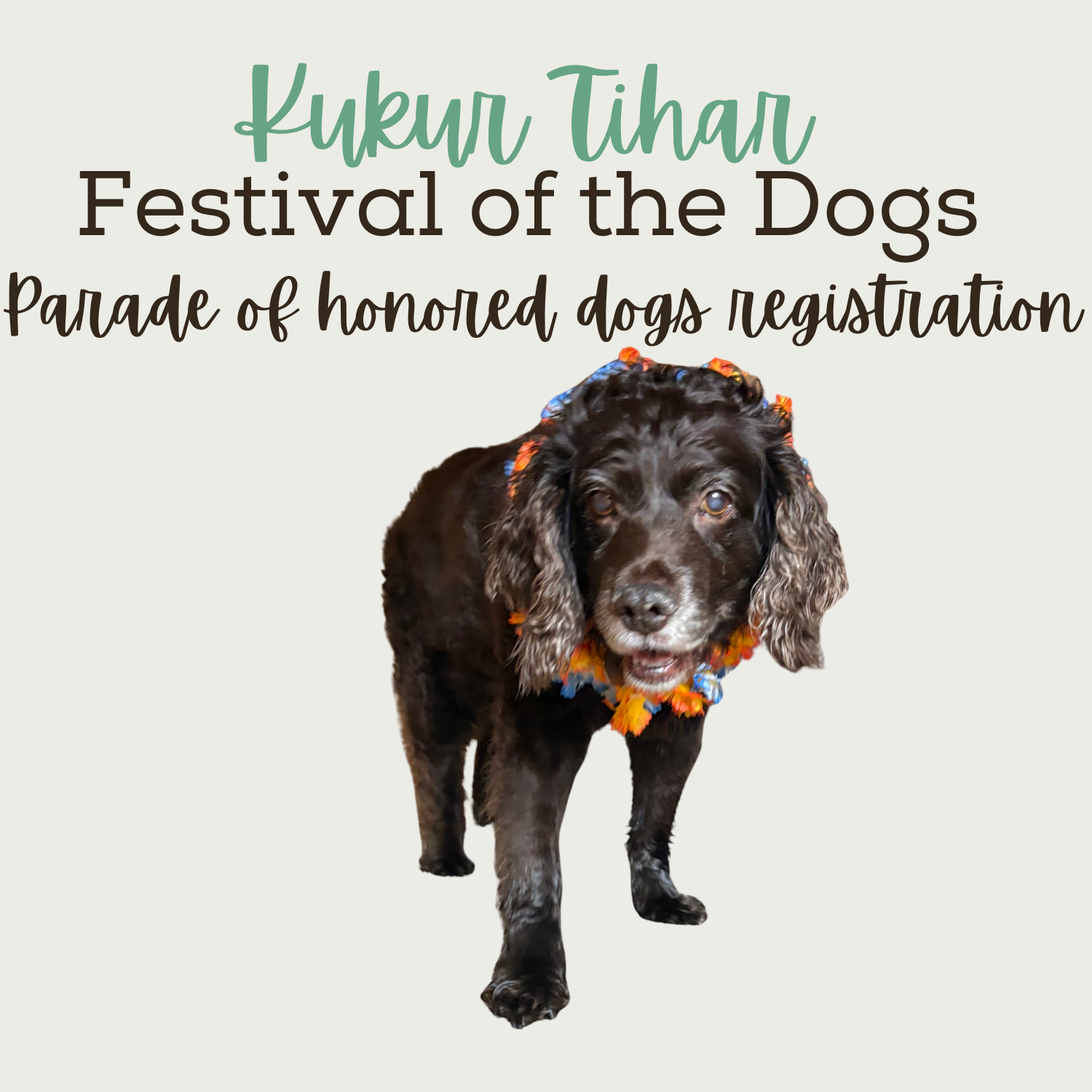Parade of Honored Dogs Application