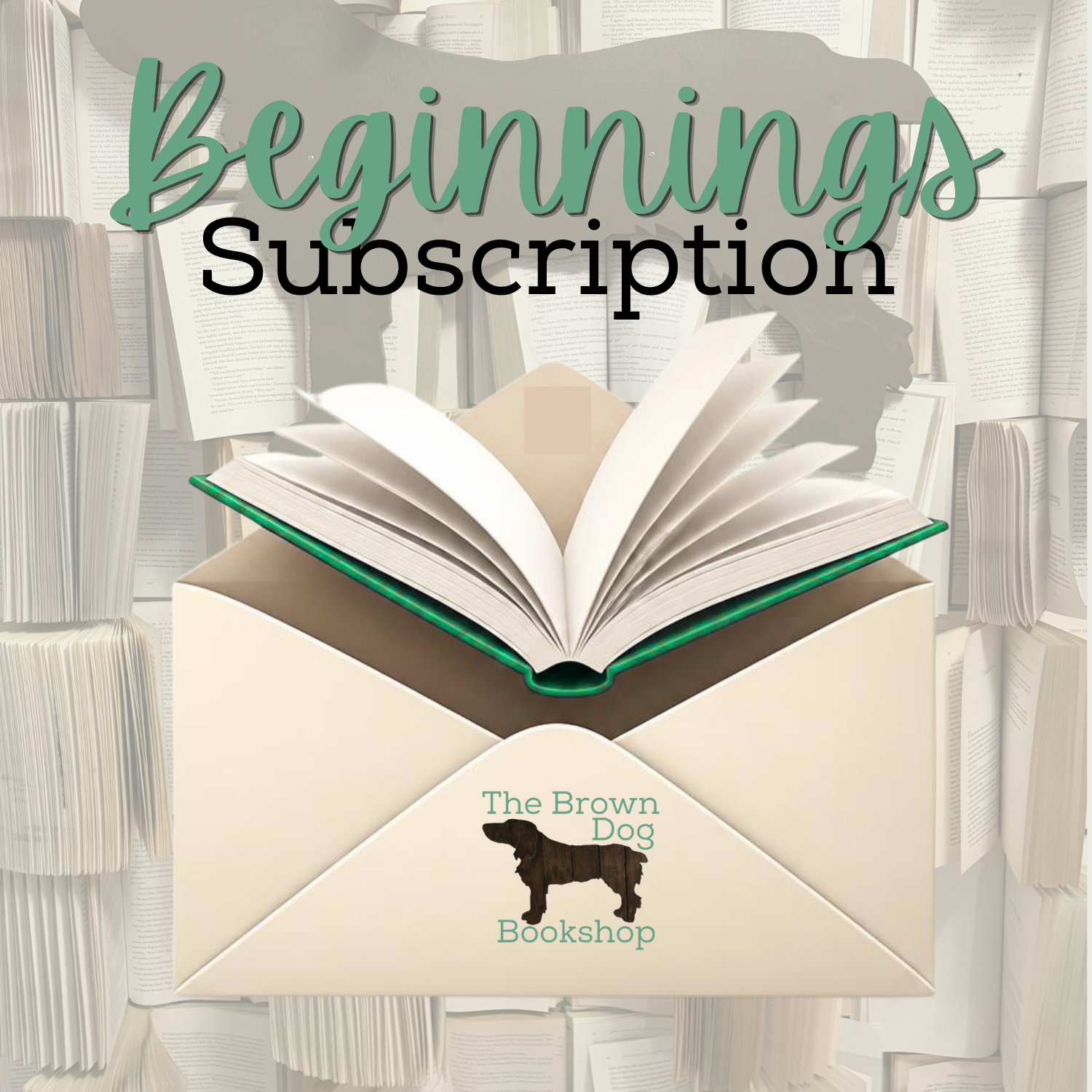 Beginnings Subscription Box