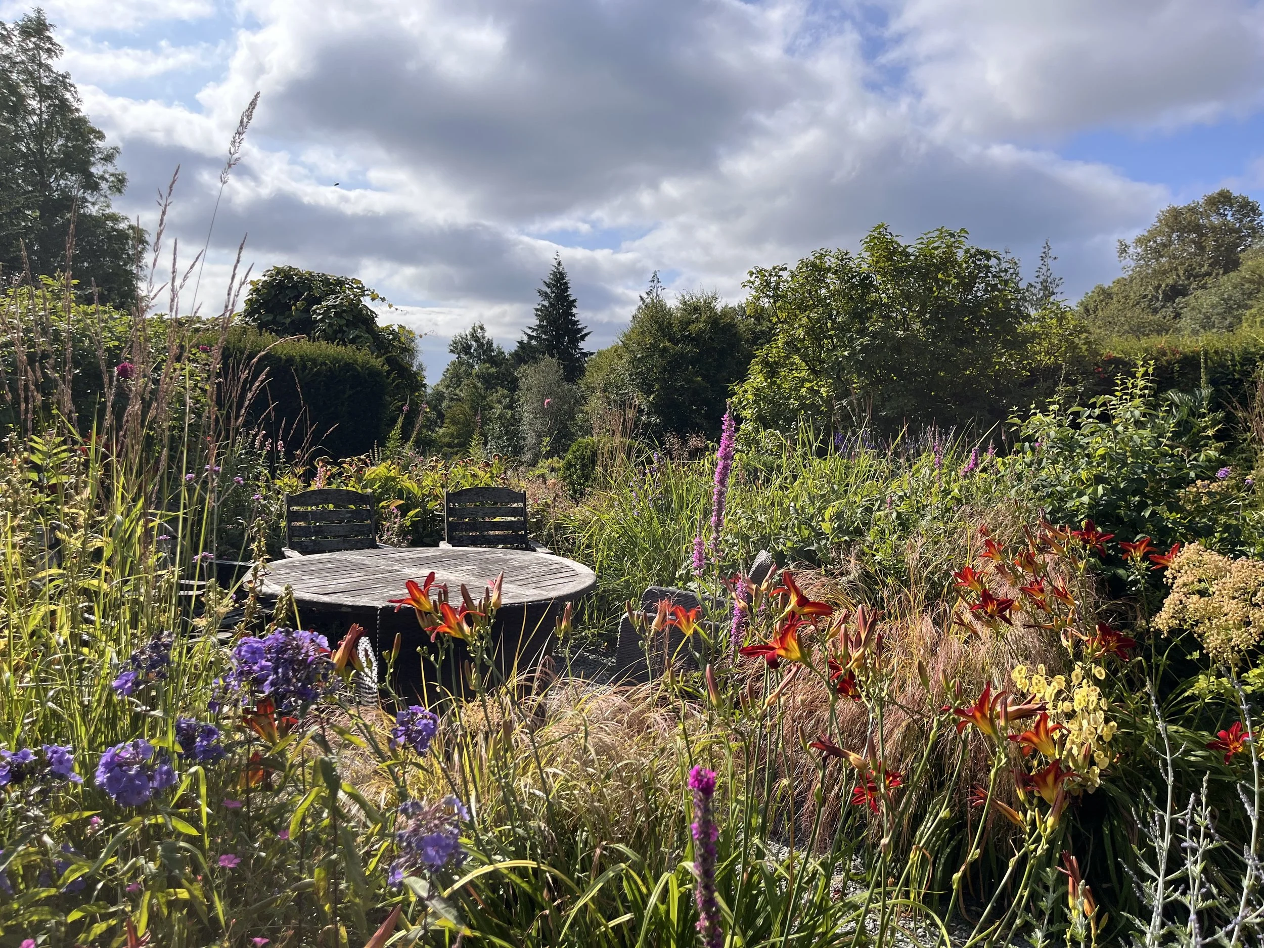 IMG_2005.jpeg