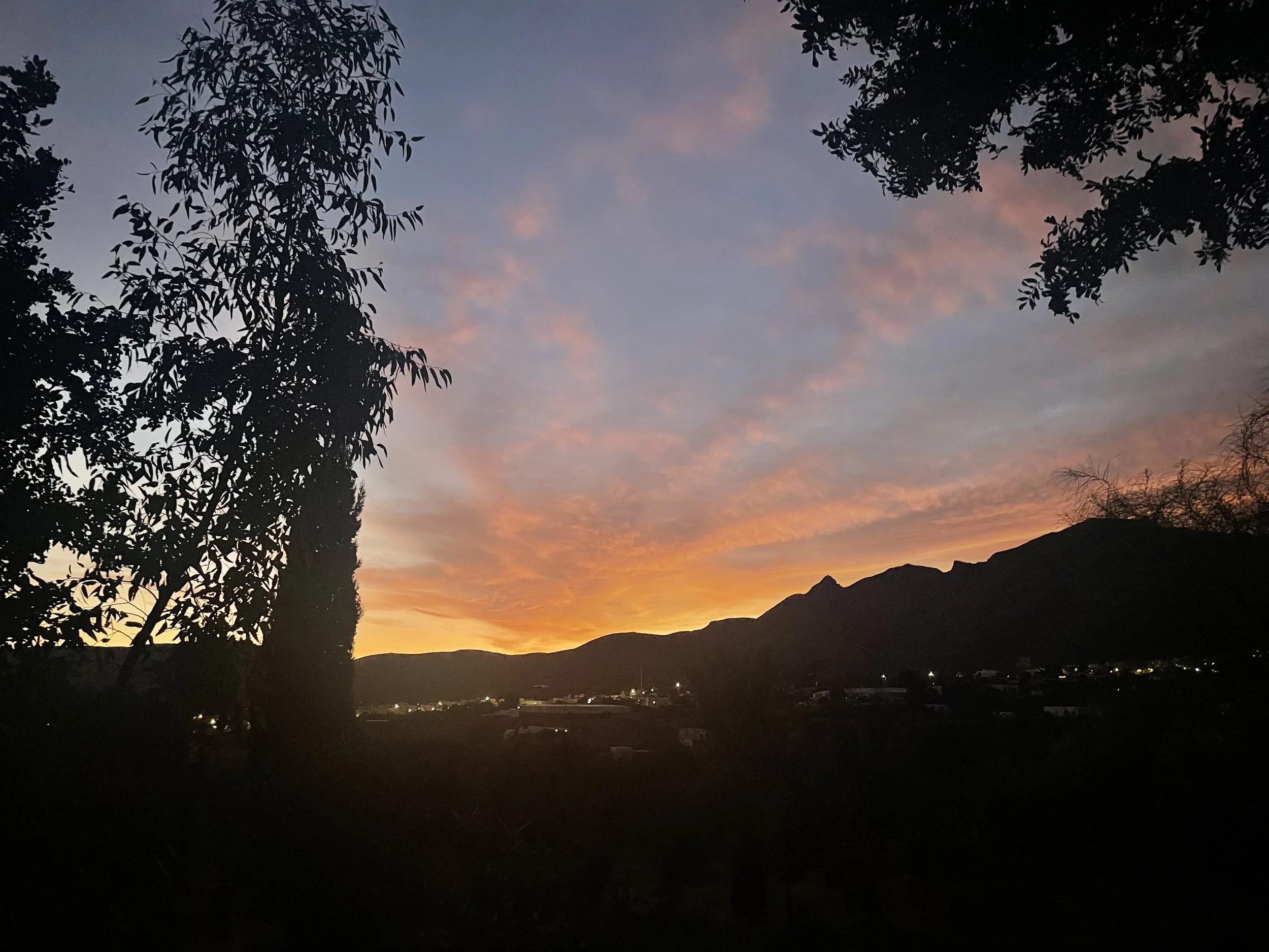 IMG_4475.jpeg