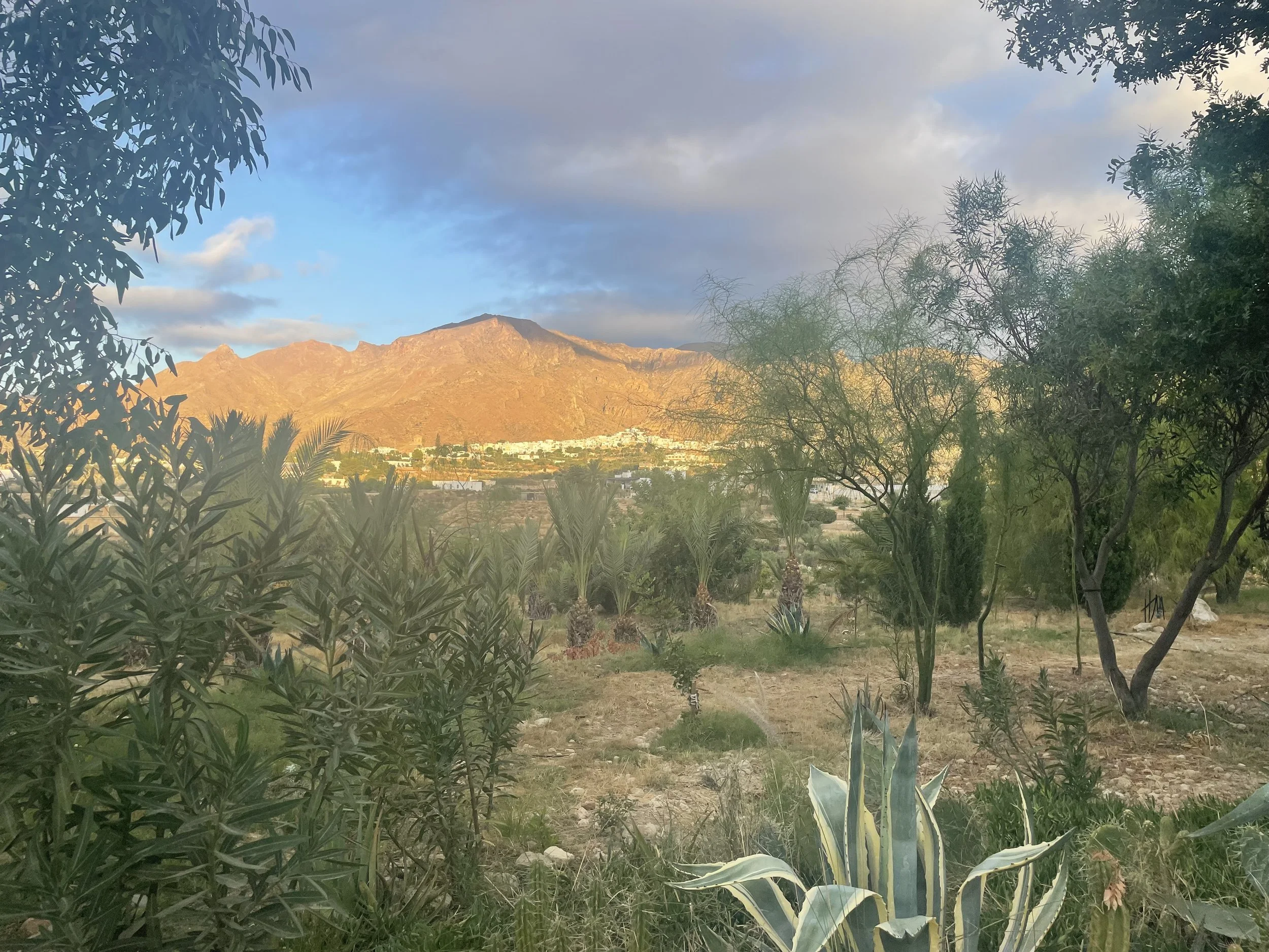 IMG_4330.jpeg