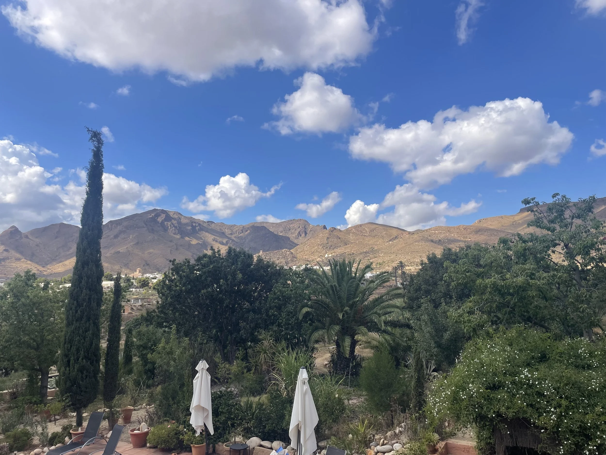 IMG_4379.jpeg