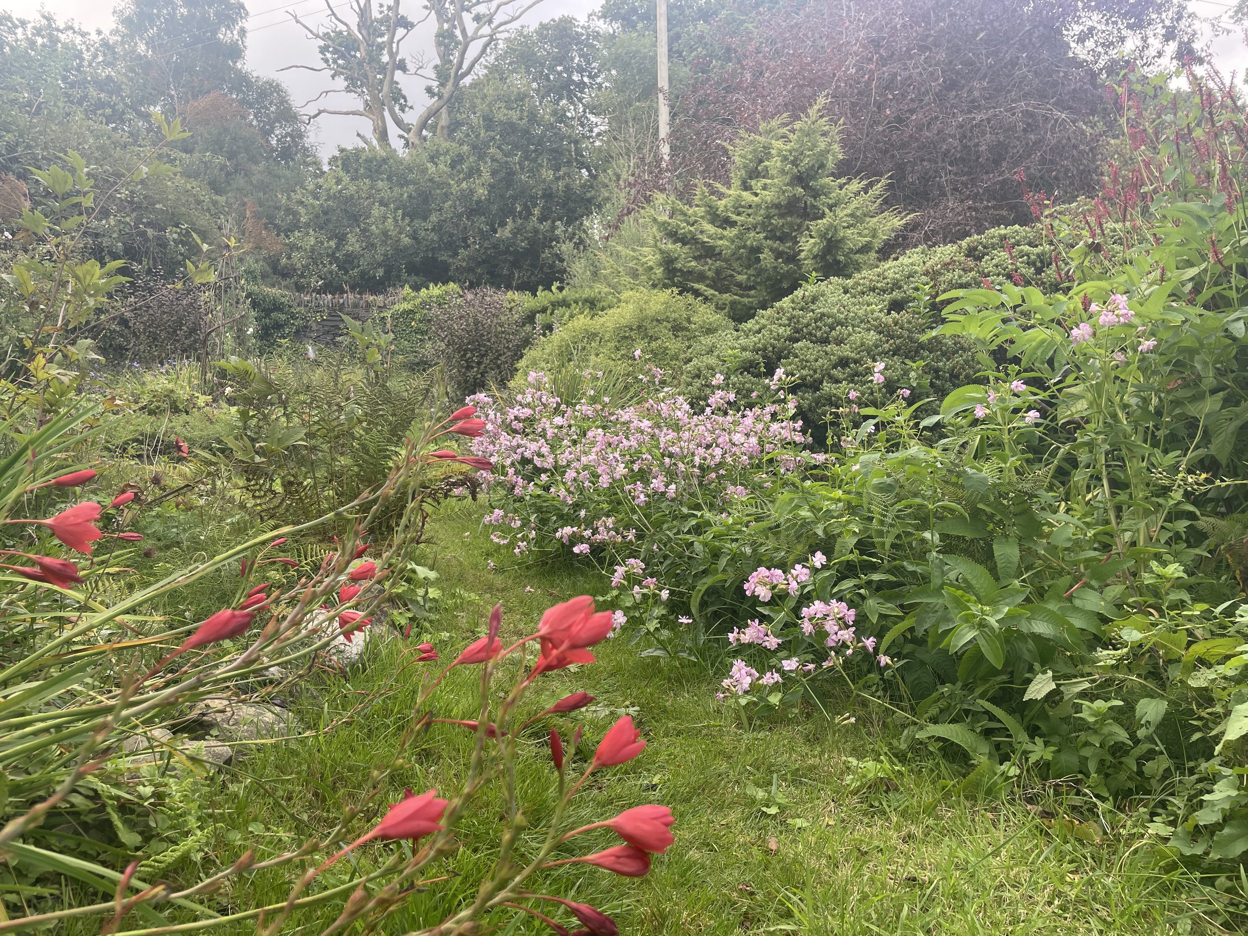 IMG_0705.jpeg