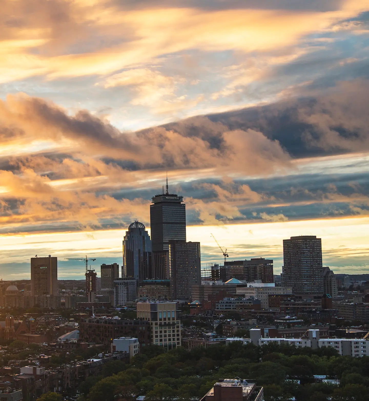 Boston Skyline - Groma