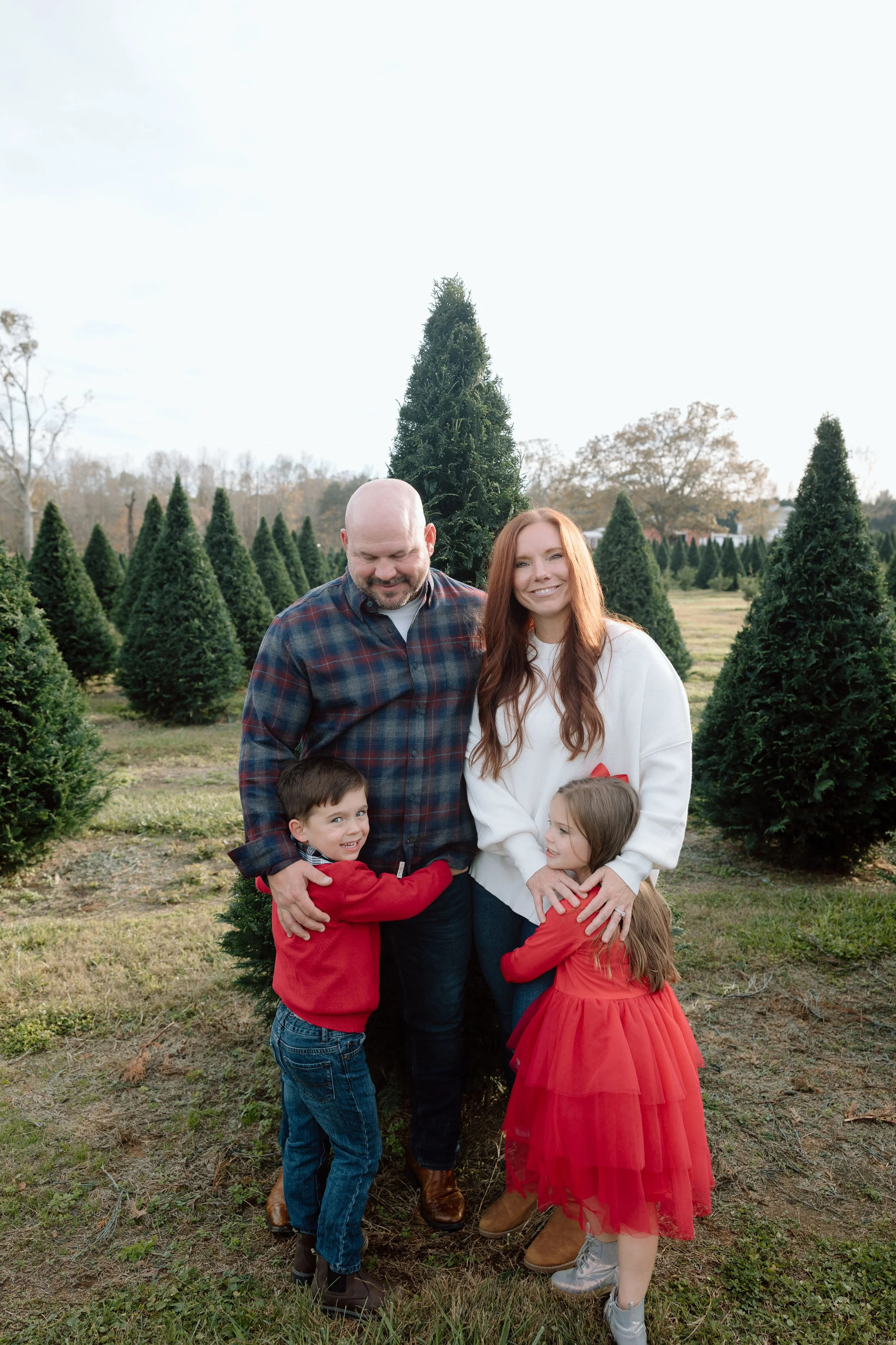 jdenardophoto.pickett.xmastree.11.17.24-5965.jpg