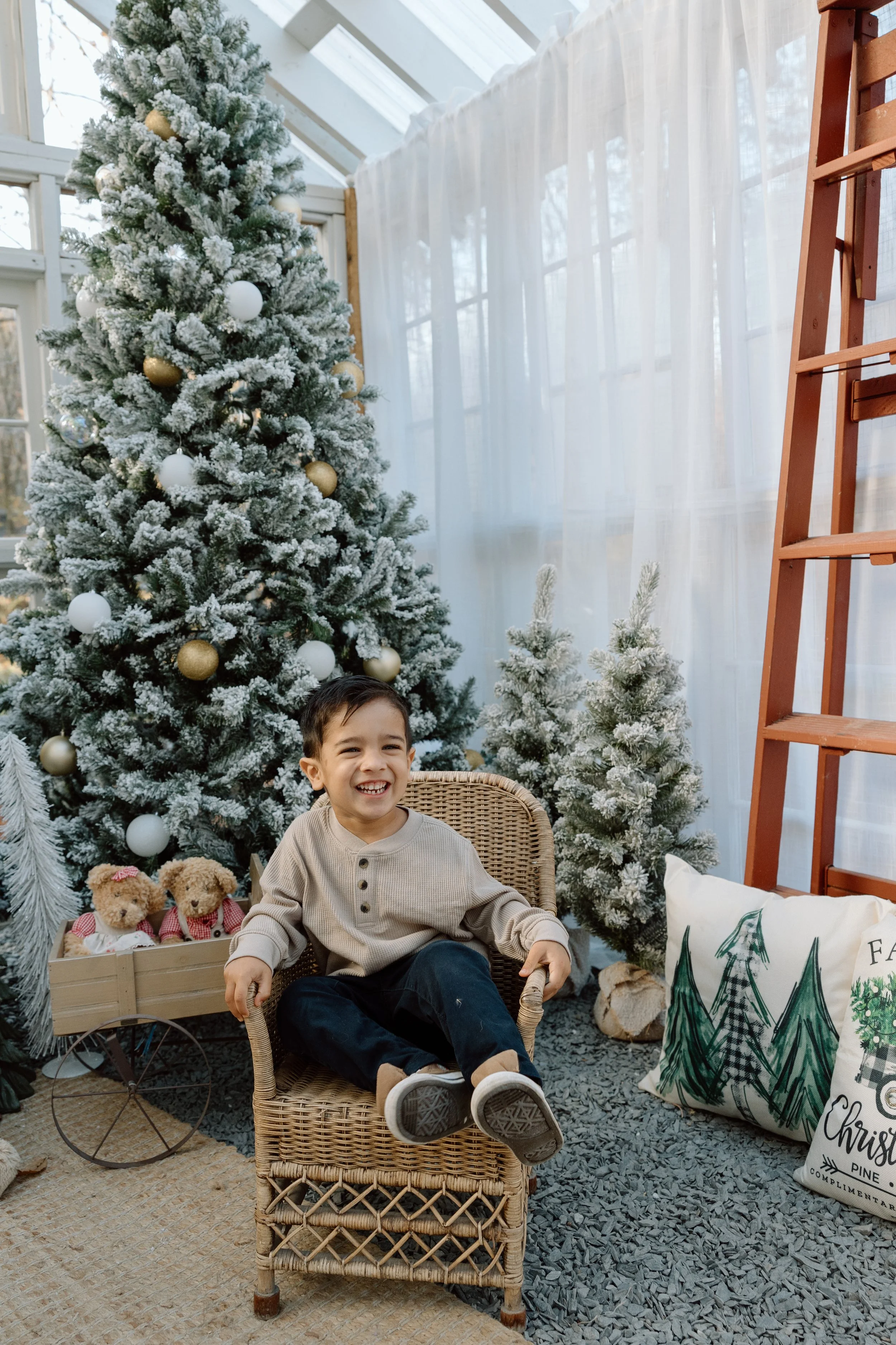 jdenardophoto.shaeringer.11.2.24-8404.jpg