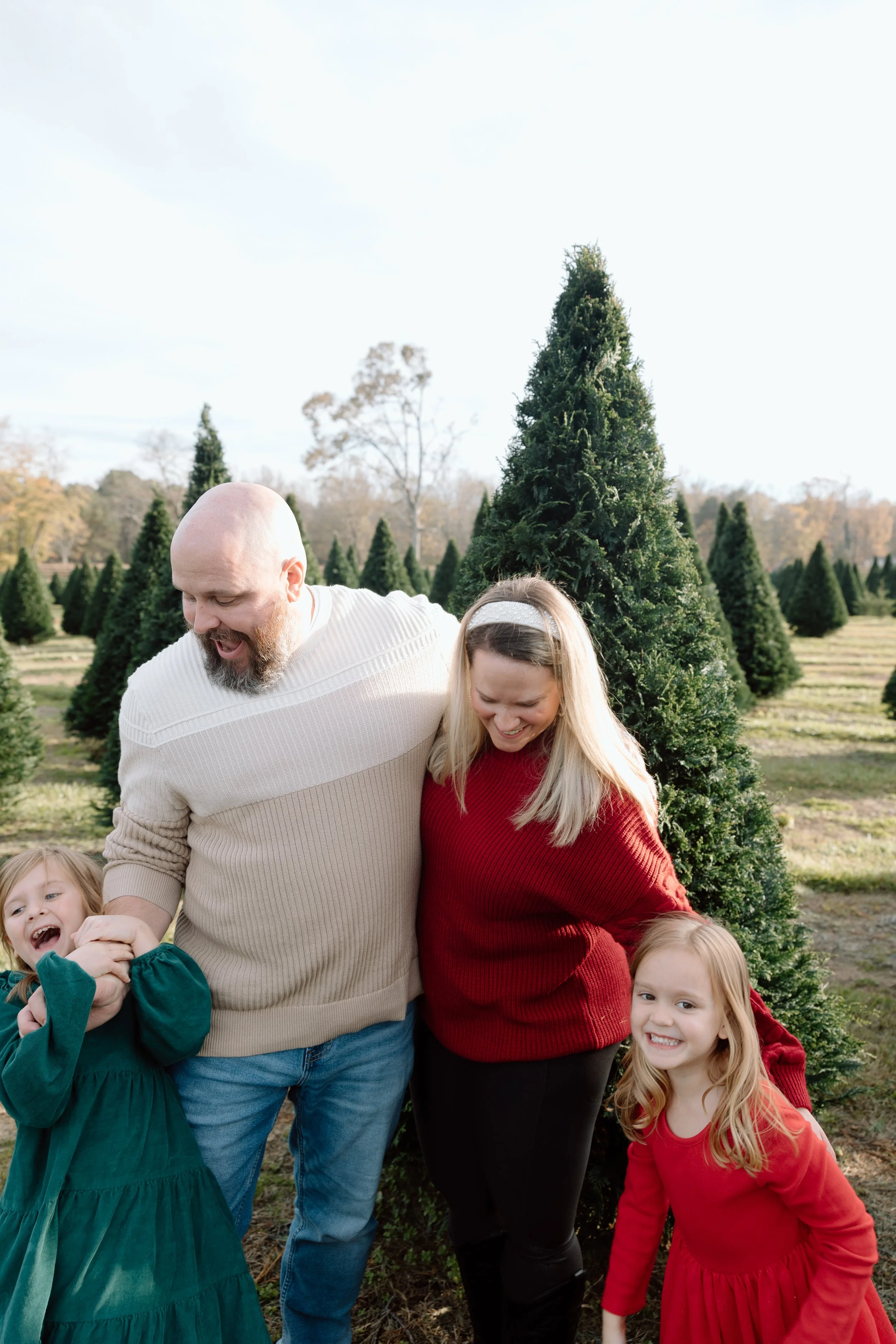 jdenardophoto.pickett.xmastree.11.17.24-6099.jpg