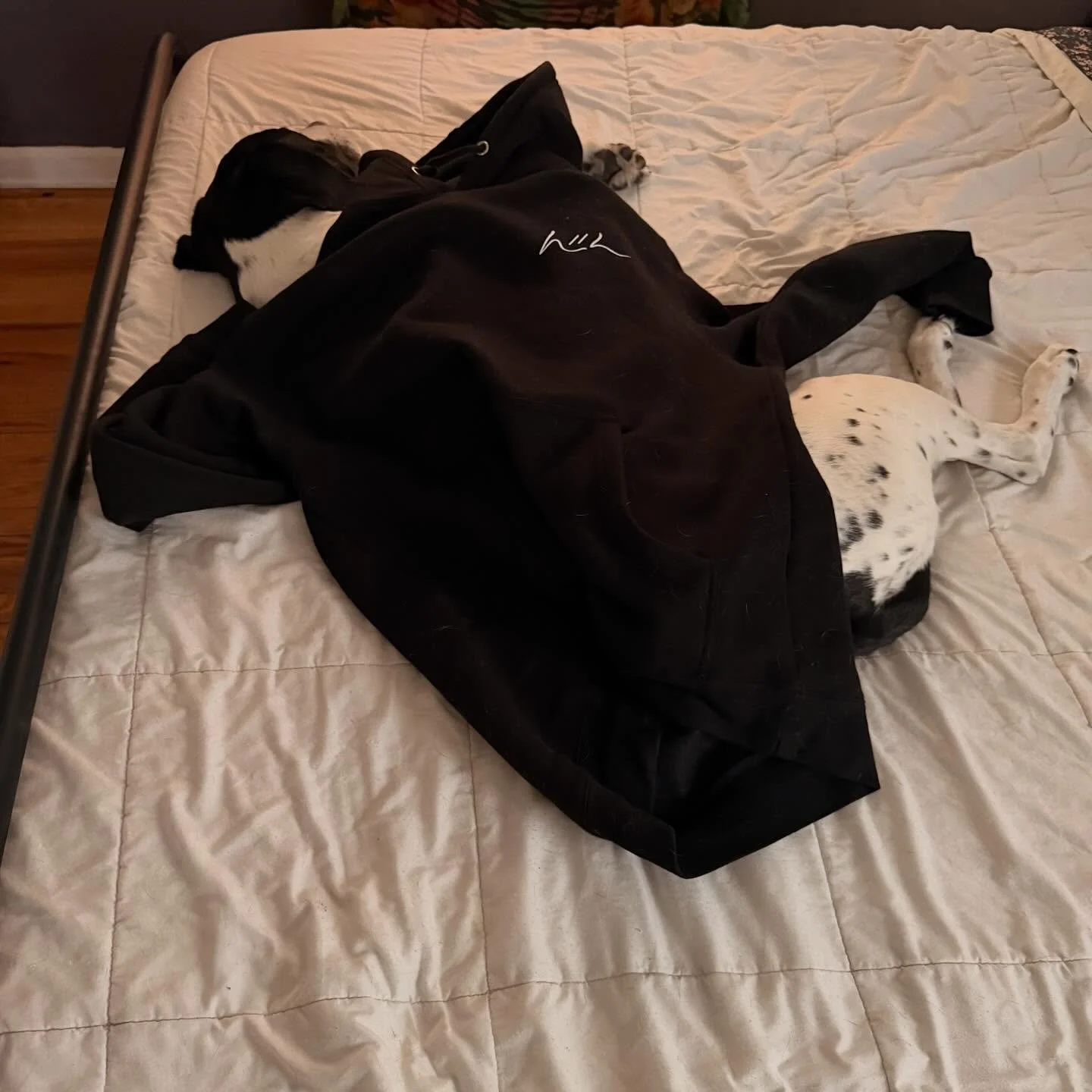 Resting with this dude today, OP. See ya tomorrow.