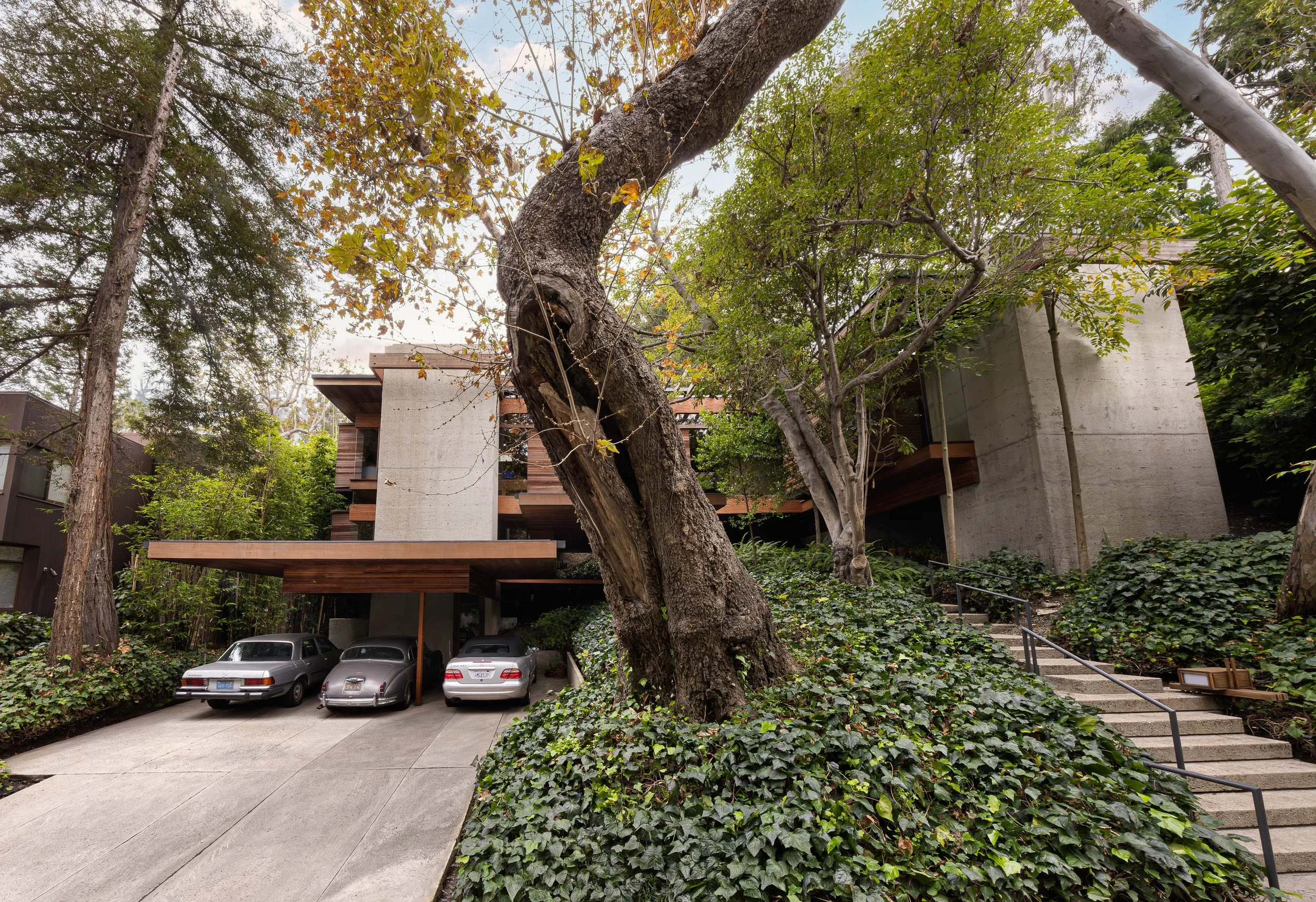 Modern house with large trees and ivy surrounding it, parking area with three cars, concrete stairs with a handrail leading up to the house entrance.