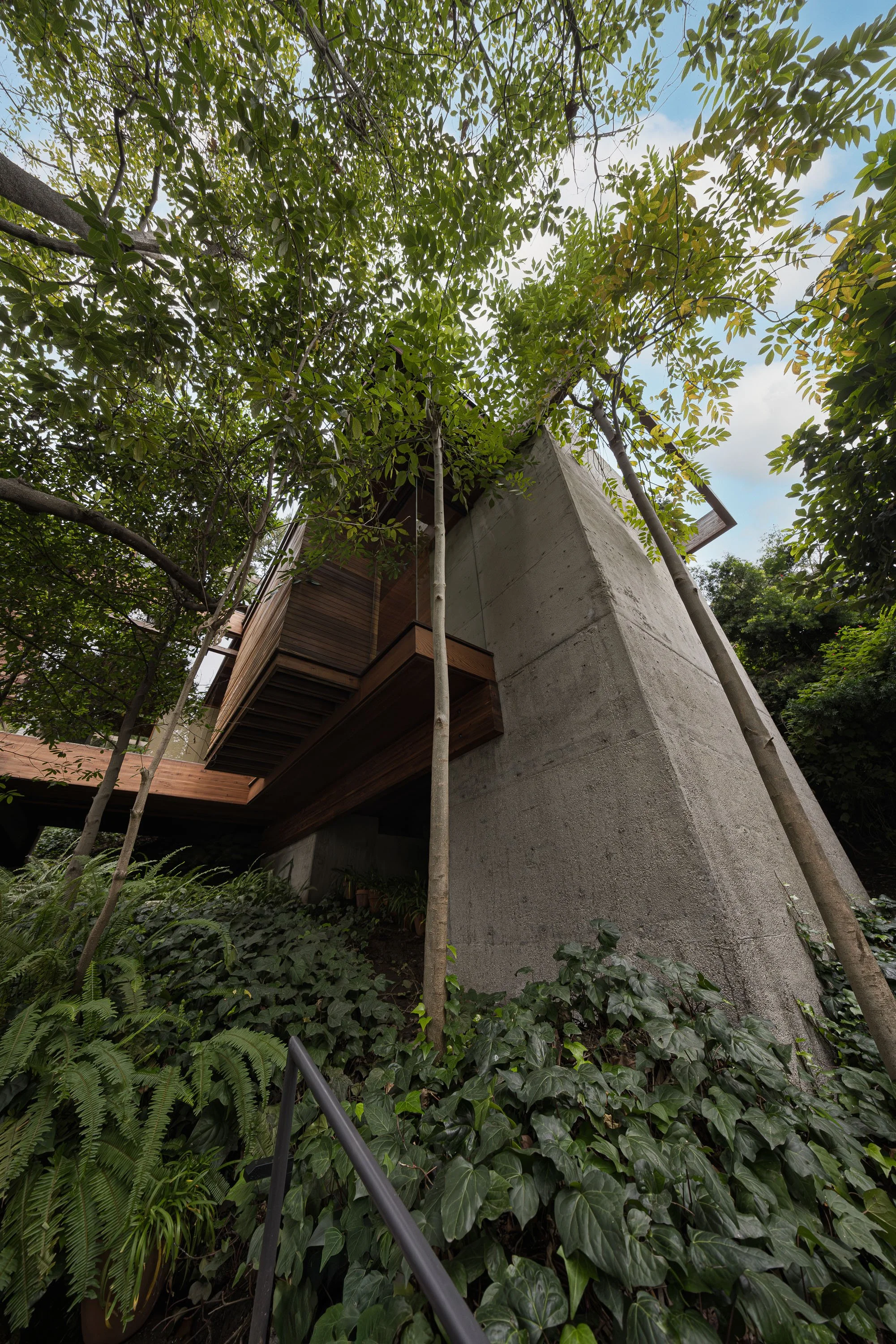 A modern house with concrete and wood exterior, partially obscured by lush green trees and plants, viewed from the ground looking up.
