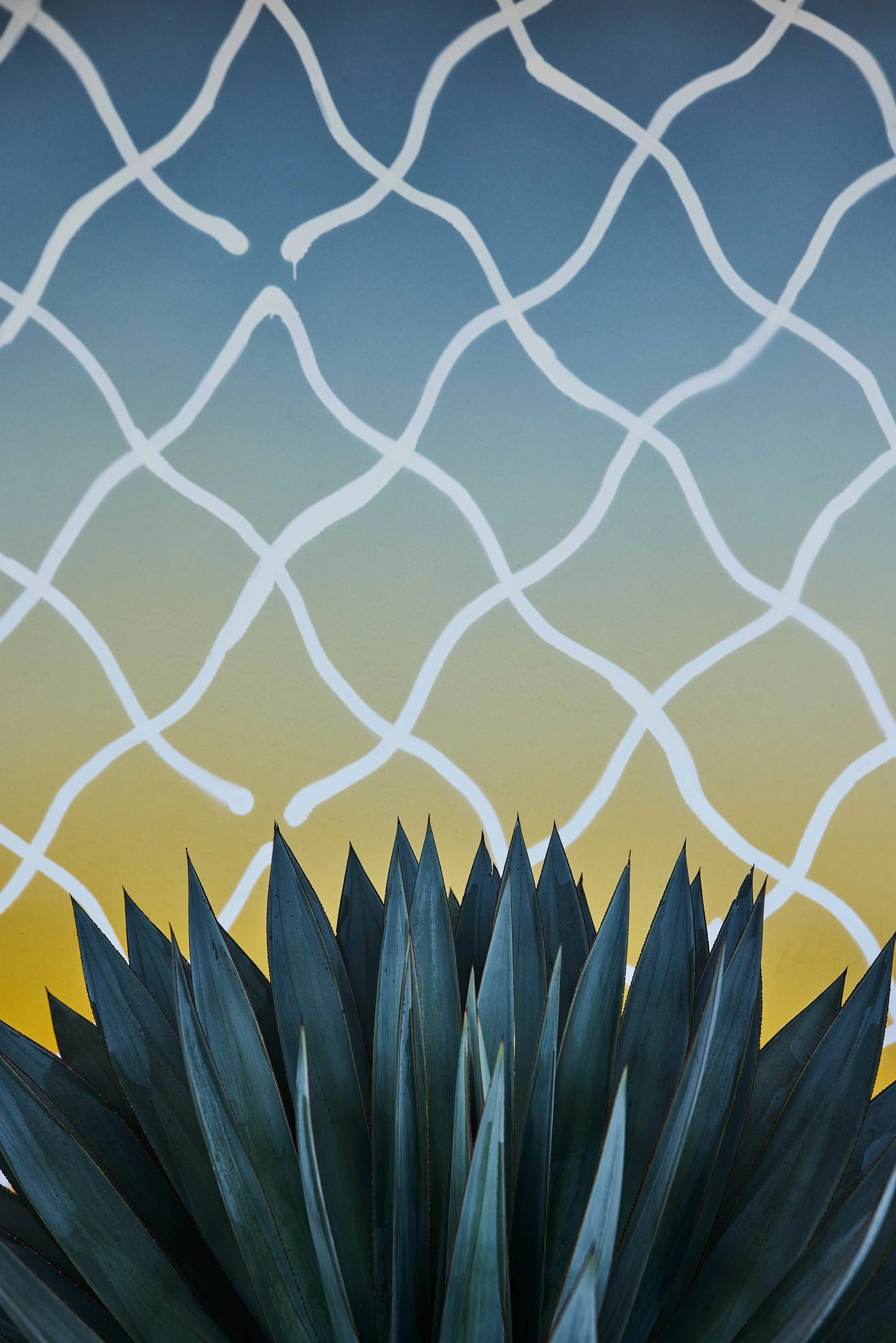 69_Woody and Wall_0441.jpg