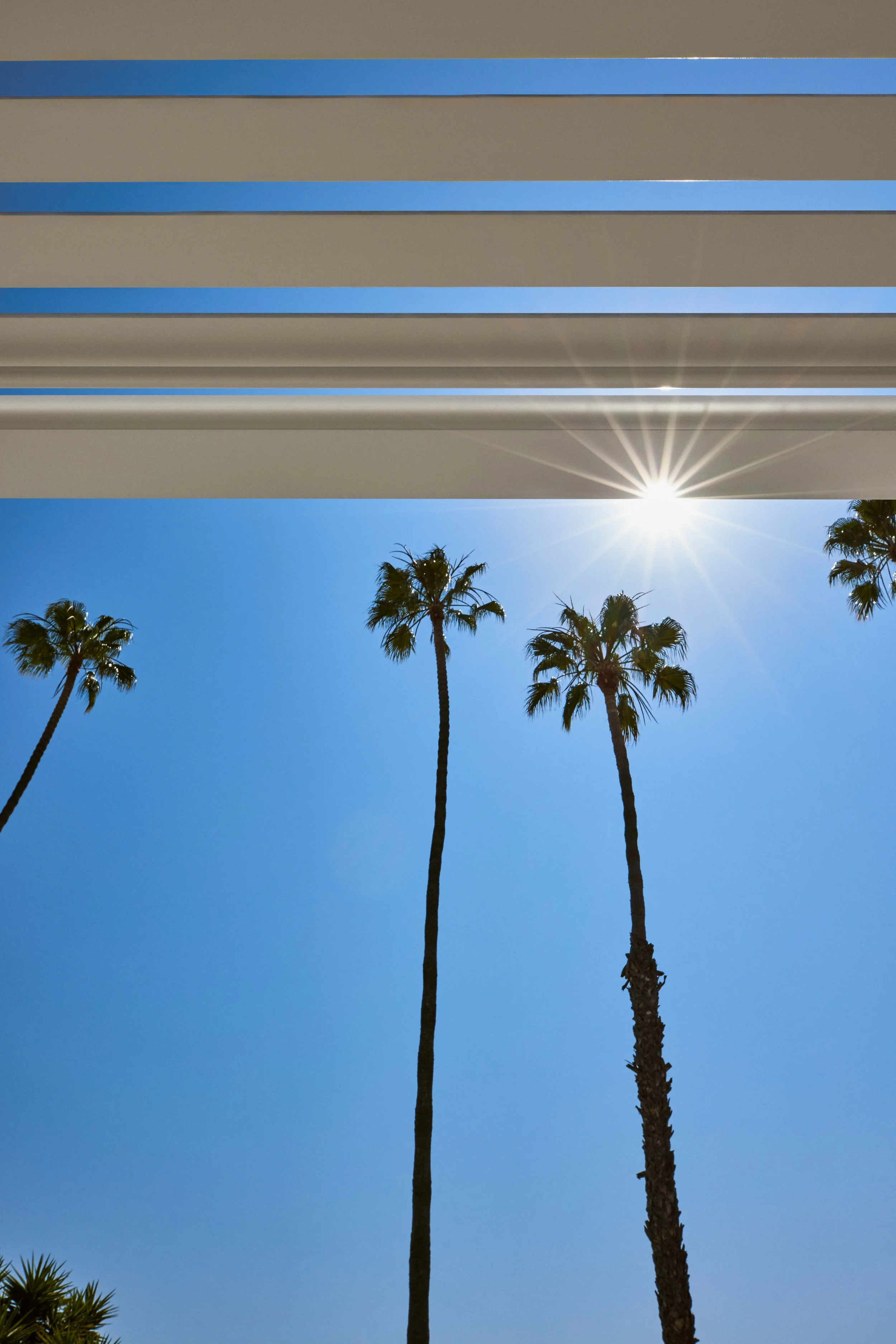 67_POOL STILLS_0388.jpg