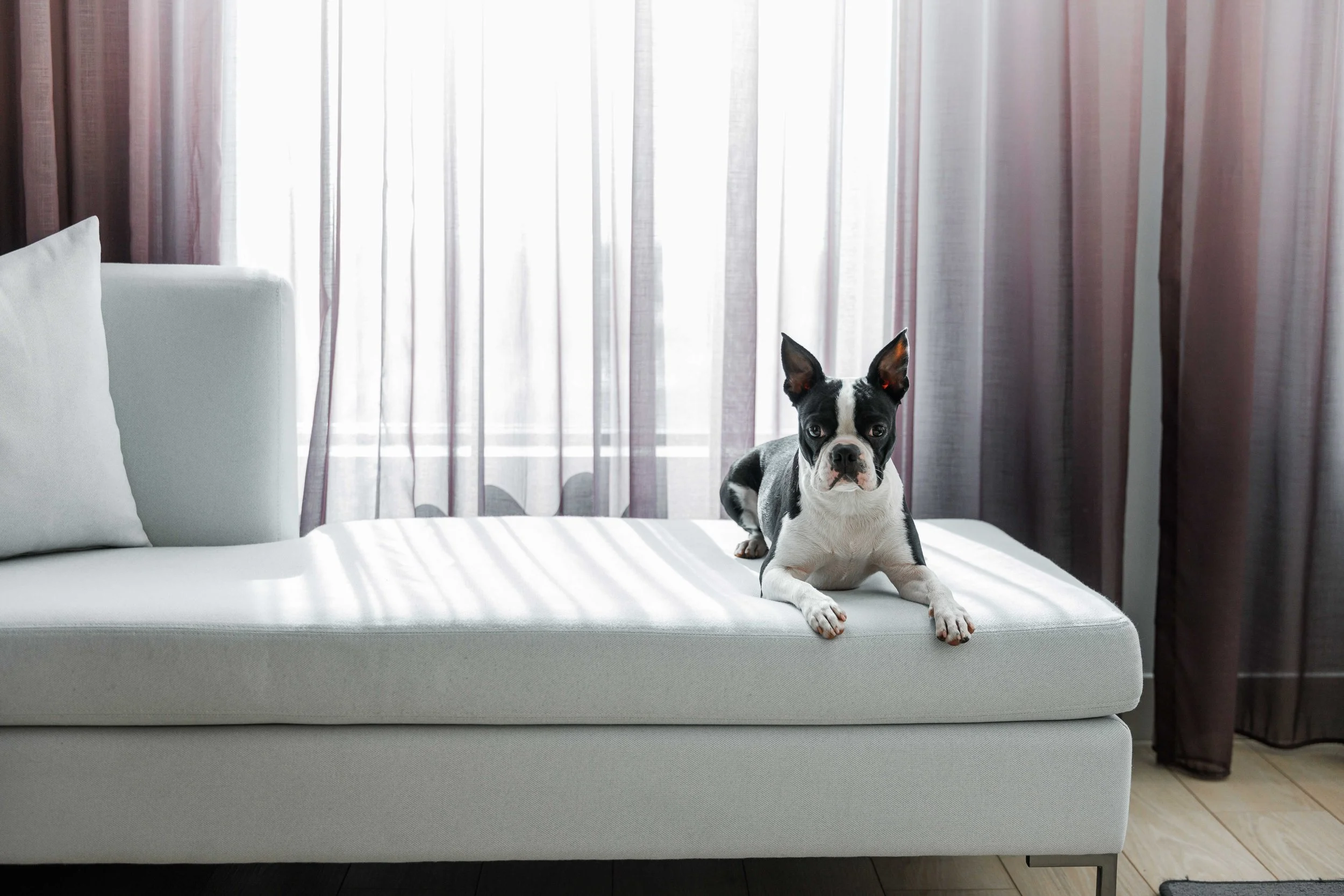 07_Dog Friendly_0292.jpg