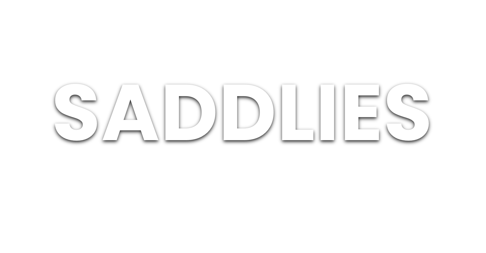 Black background with the word 'SADDLES' written in large white capital letters.