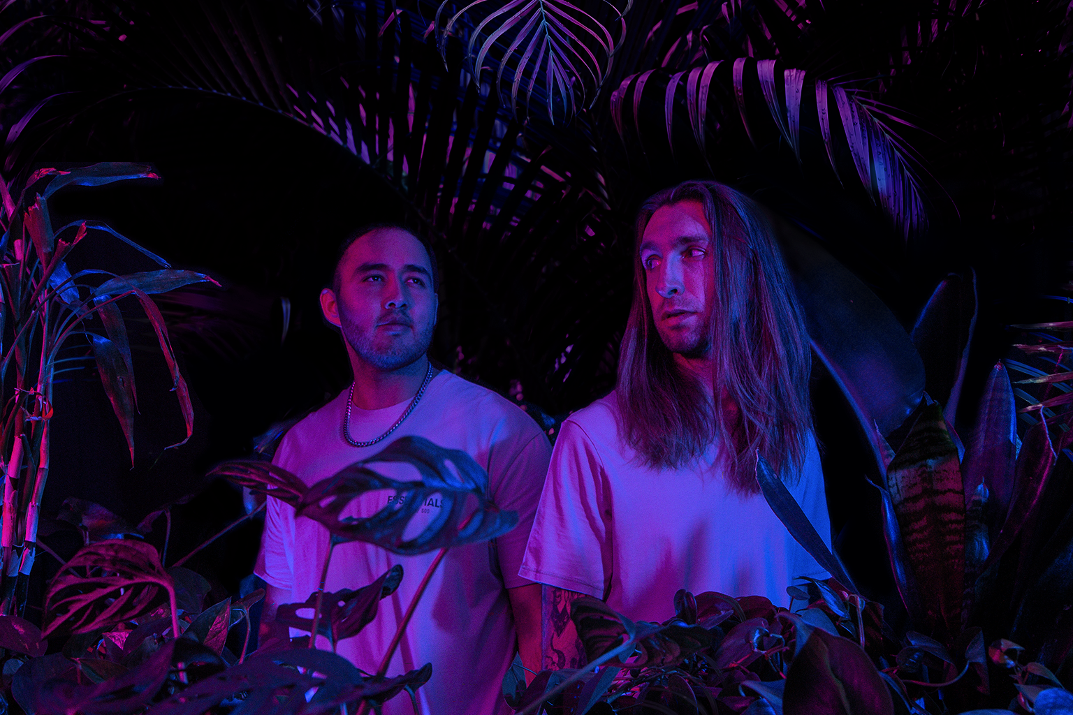 Let Go Promo Plants 1 8x10.png