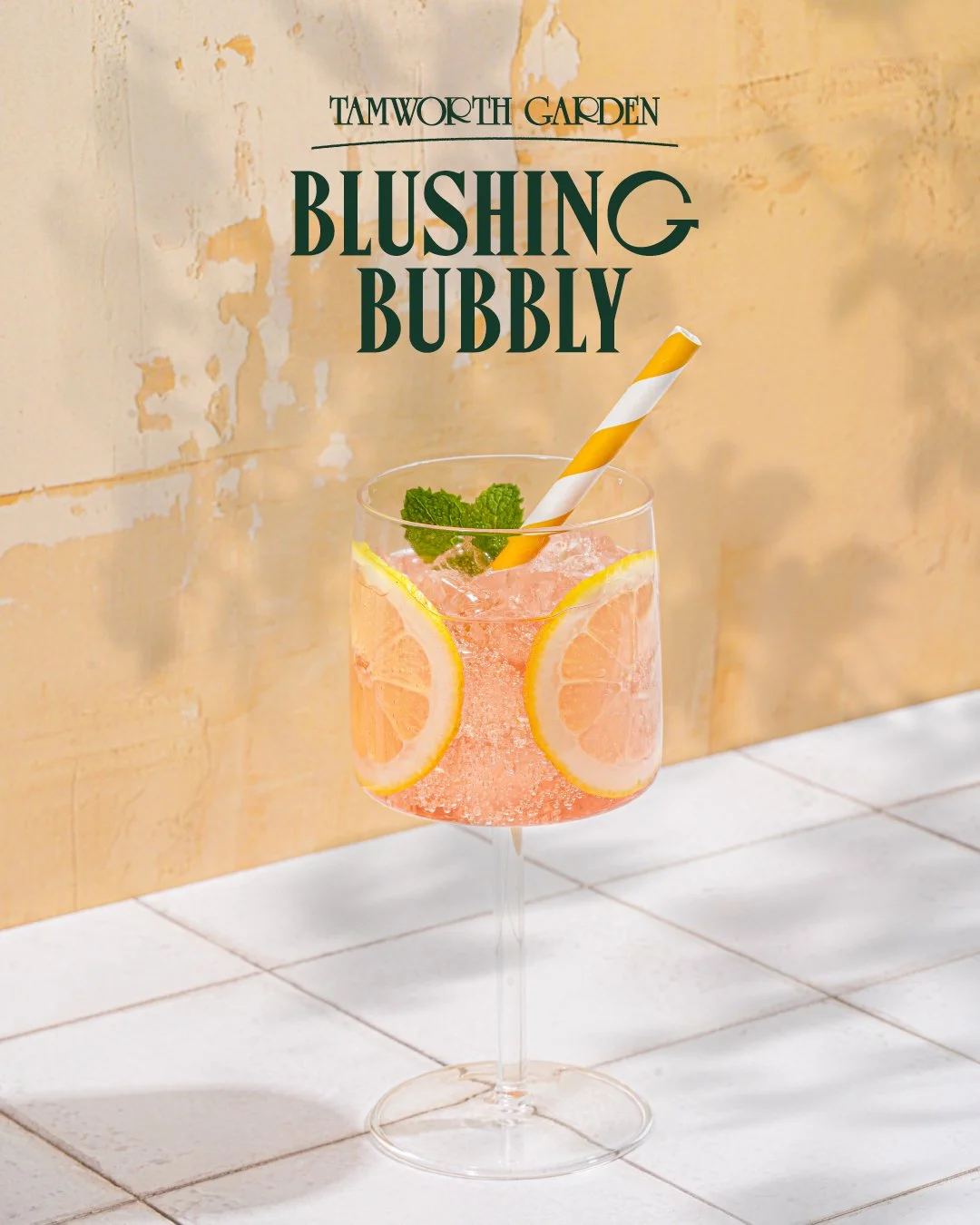 Presenting our Watermelon Gin two ways: the Blushing Bubbly and Salty Frizzanti. Perfectly refreshing on a hot summer's day, just add the ingredients to a wine glass with ice and stir briskly. Top with your garnishes and enjoy!