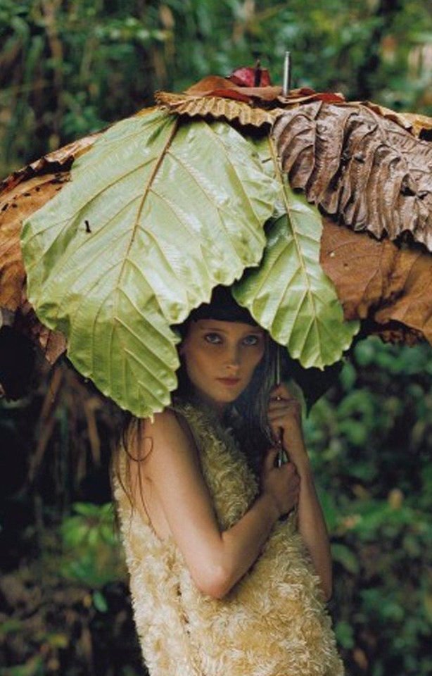 Biophilic Design