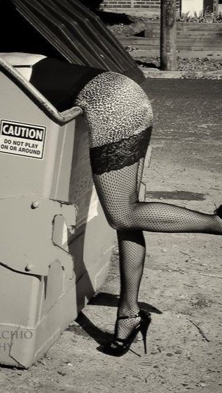 New In: Dumpster Diving
