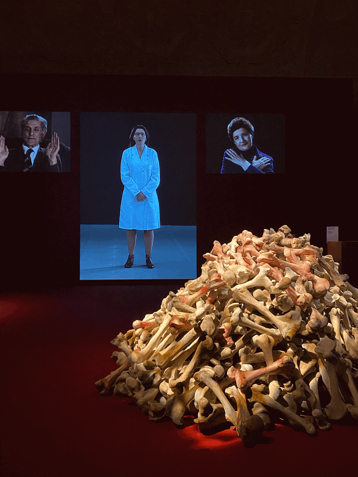 Marina Abramović – Energy Dialogues