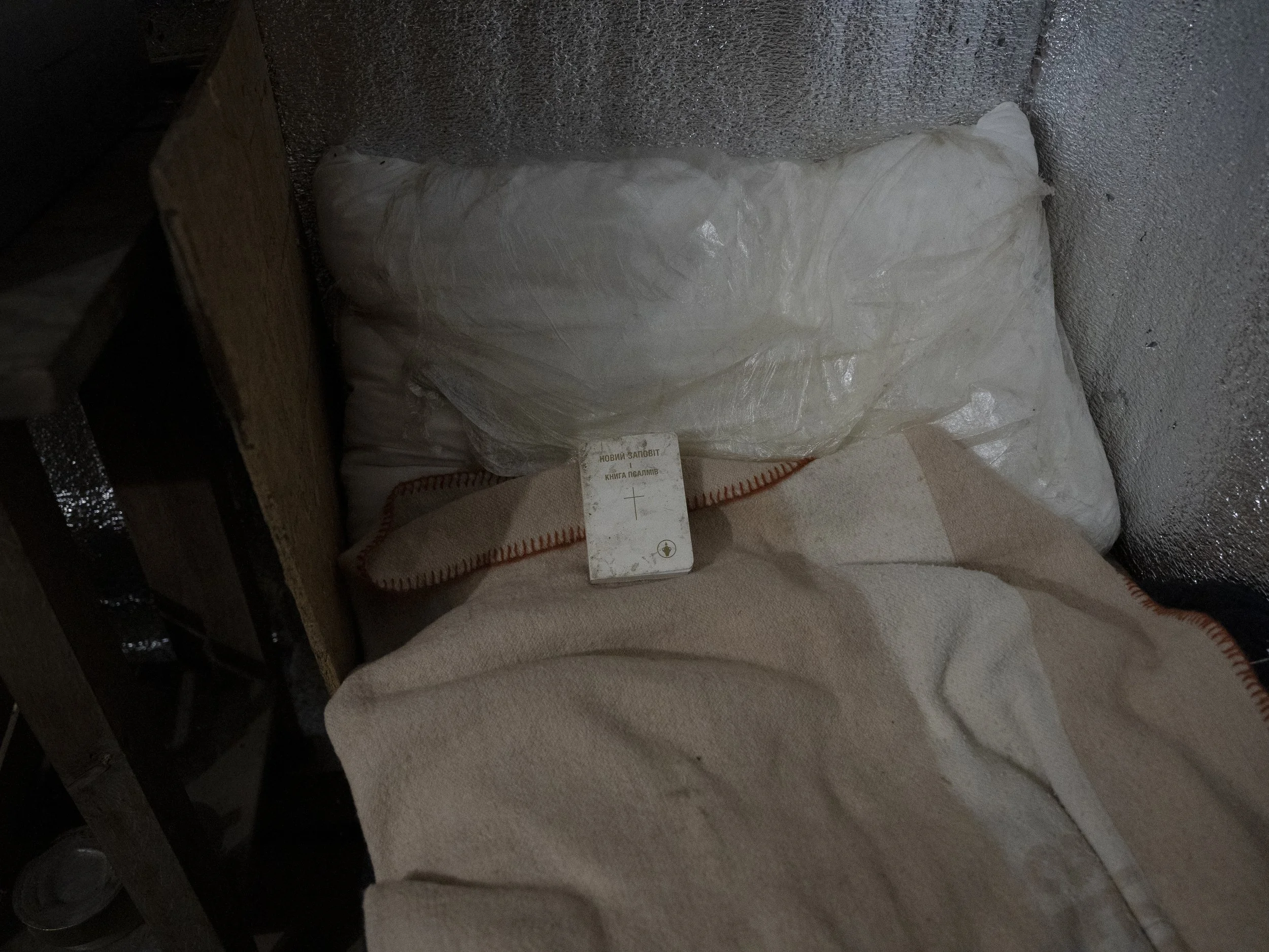 DSC01770.jpg
