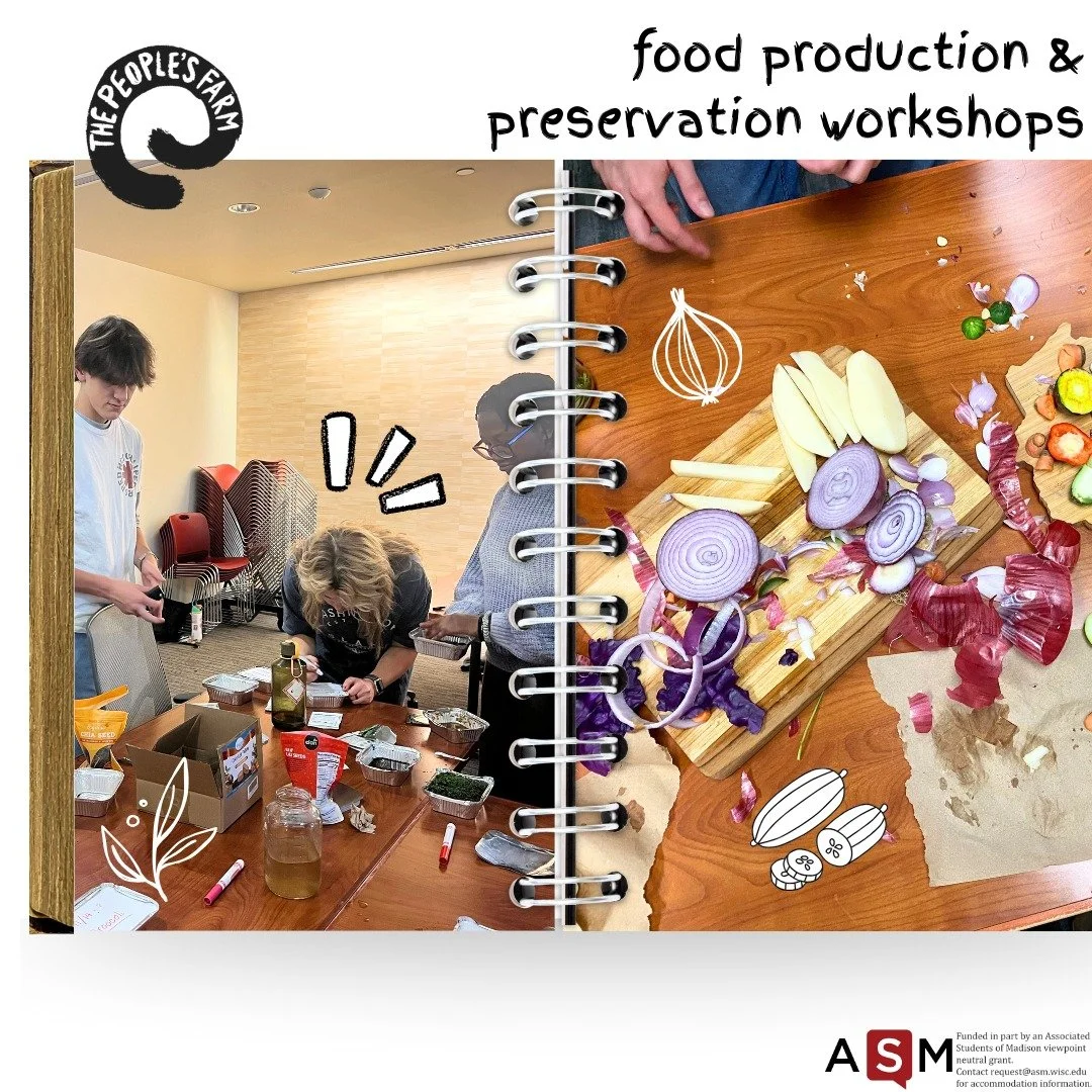 liked our recent workshops? come to our magazine workshop TODAY!