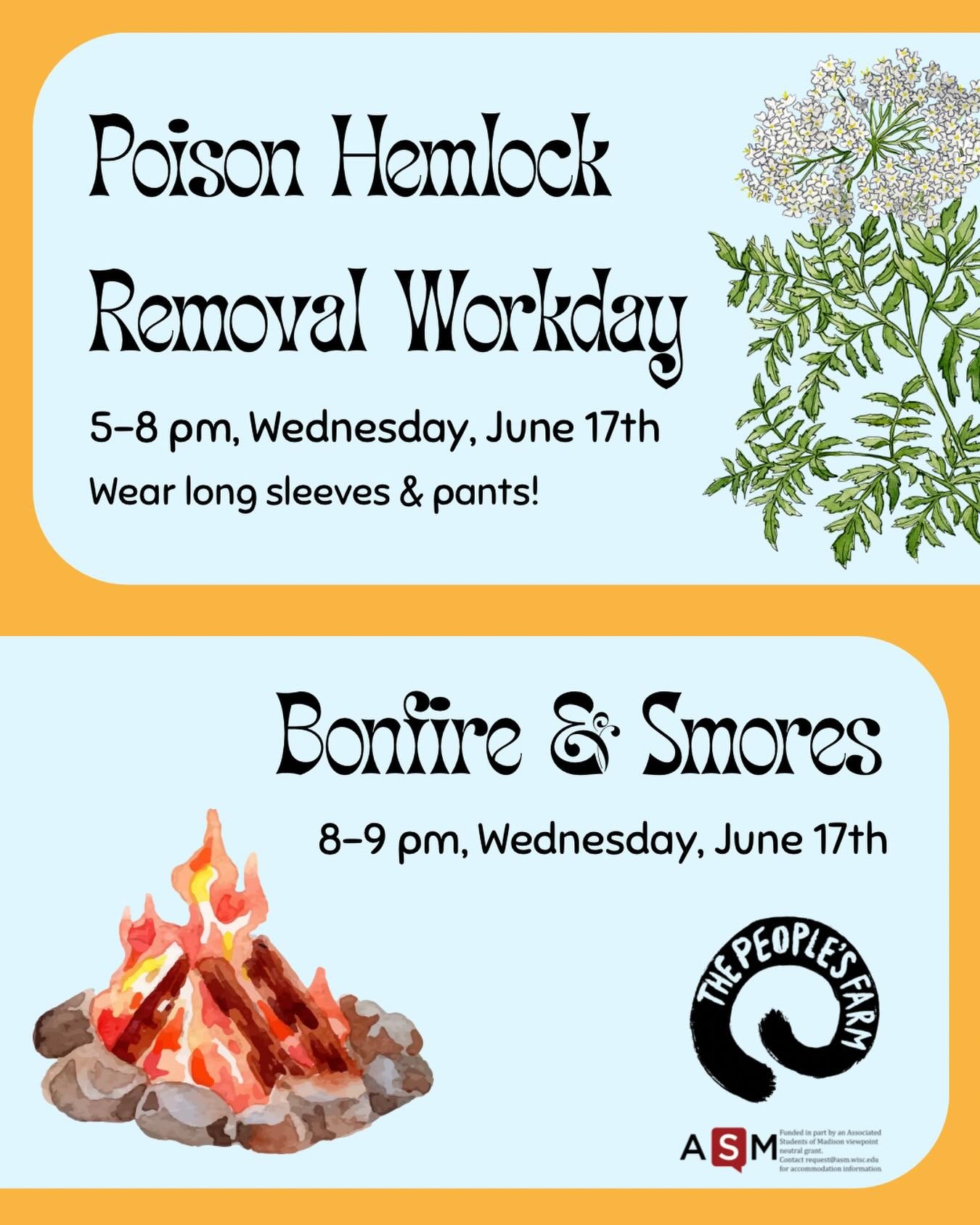Help us remove poison hemlock and then stay for s&rsquo;mores!