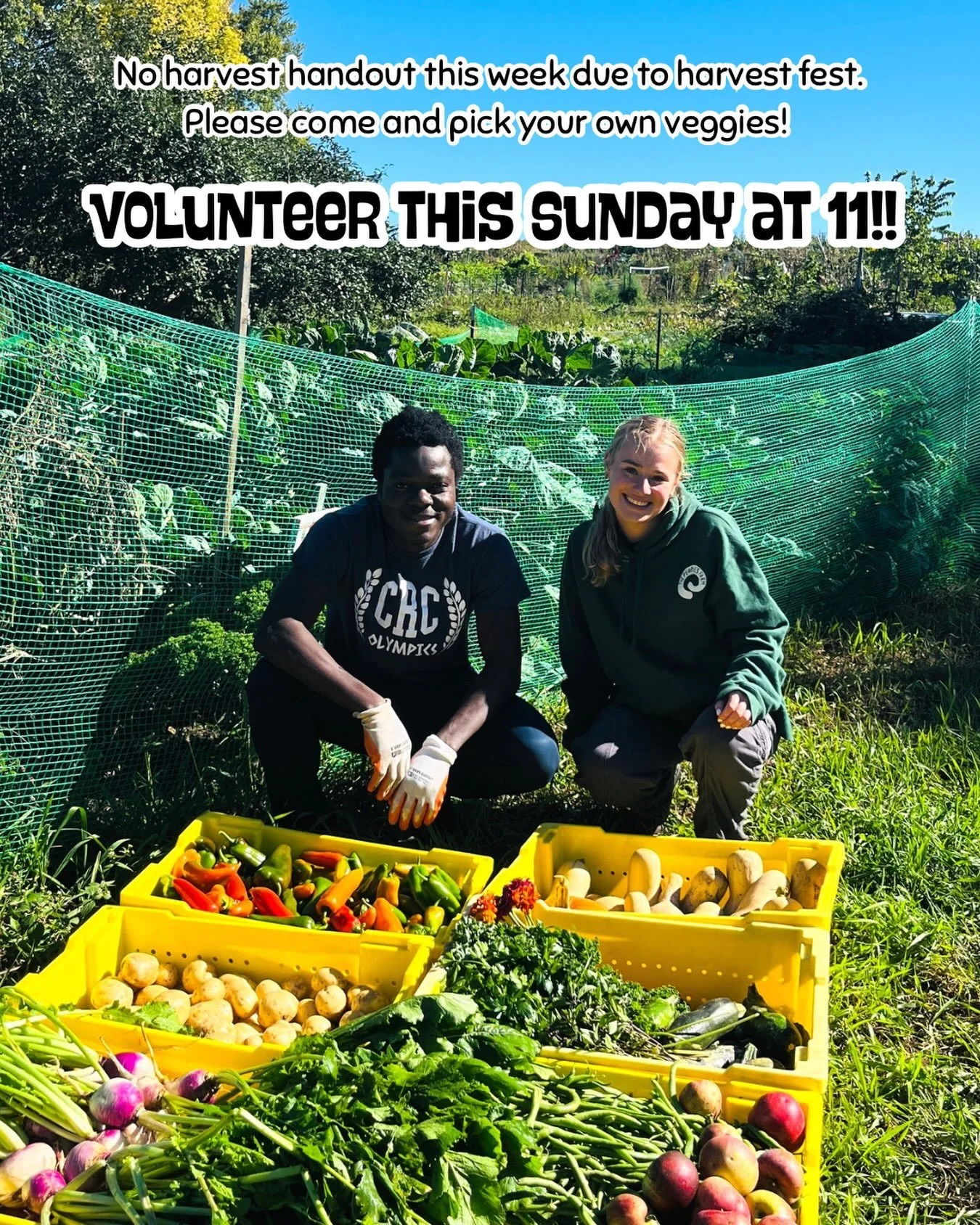 Harvest fest this Sunday 🎃