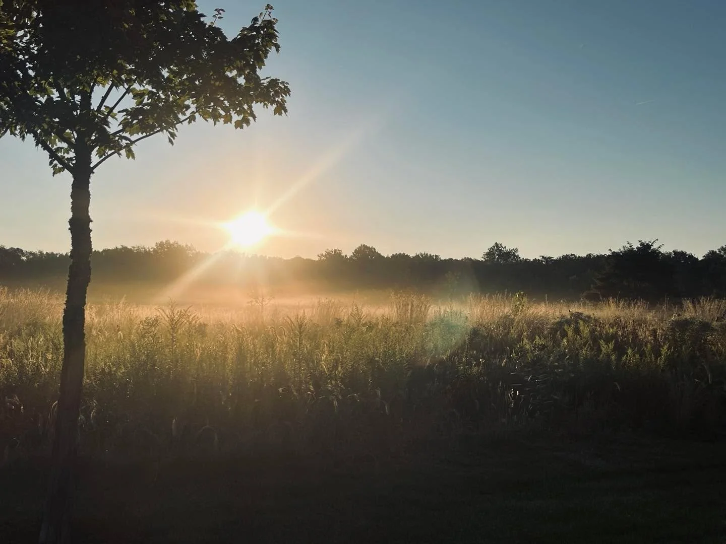 Morning Sunrise Walk…Peaceful…Good for the Soul! Move in fresh air…your body, mind & spirit will thank you! # Harmony = Armonia!