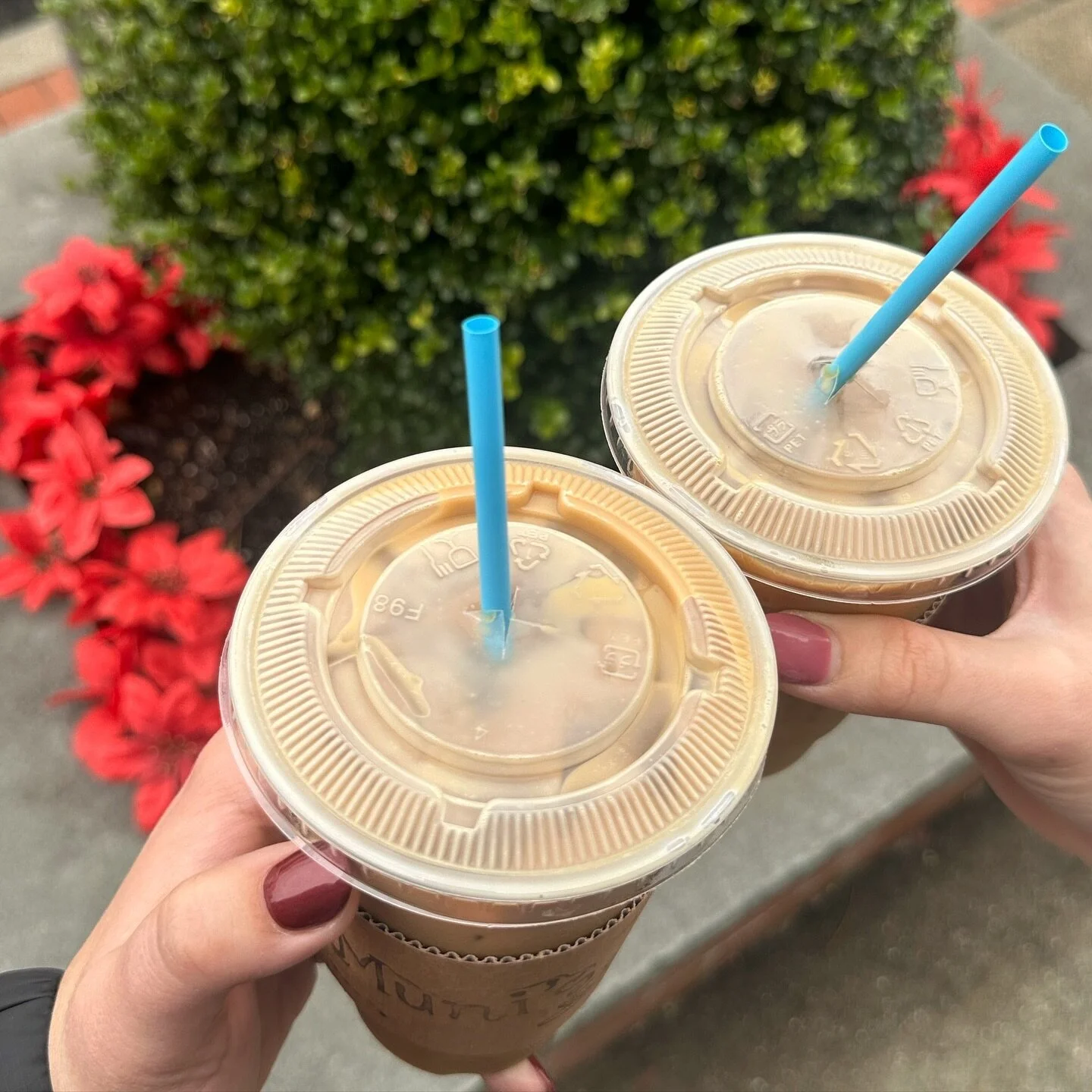 ☕️🎄 lindenhurst @muniscoffeejoint_lindenhurst 

eggnog latte and tres leches iced coffee 🤌🏼 some delish holiday flavors from Muni&rsquo;s!