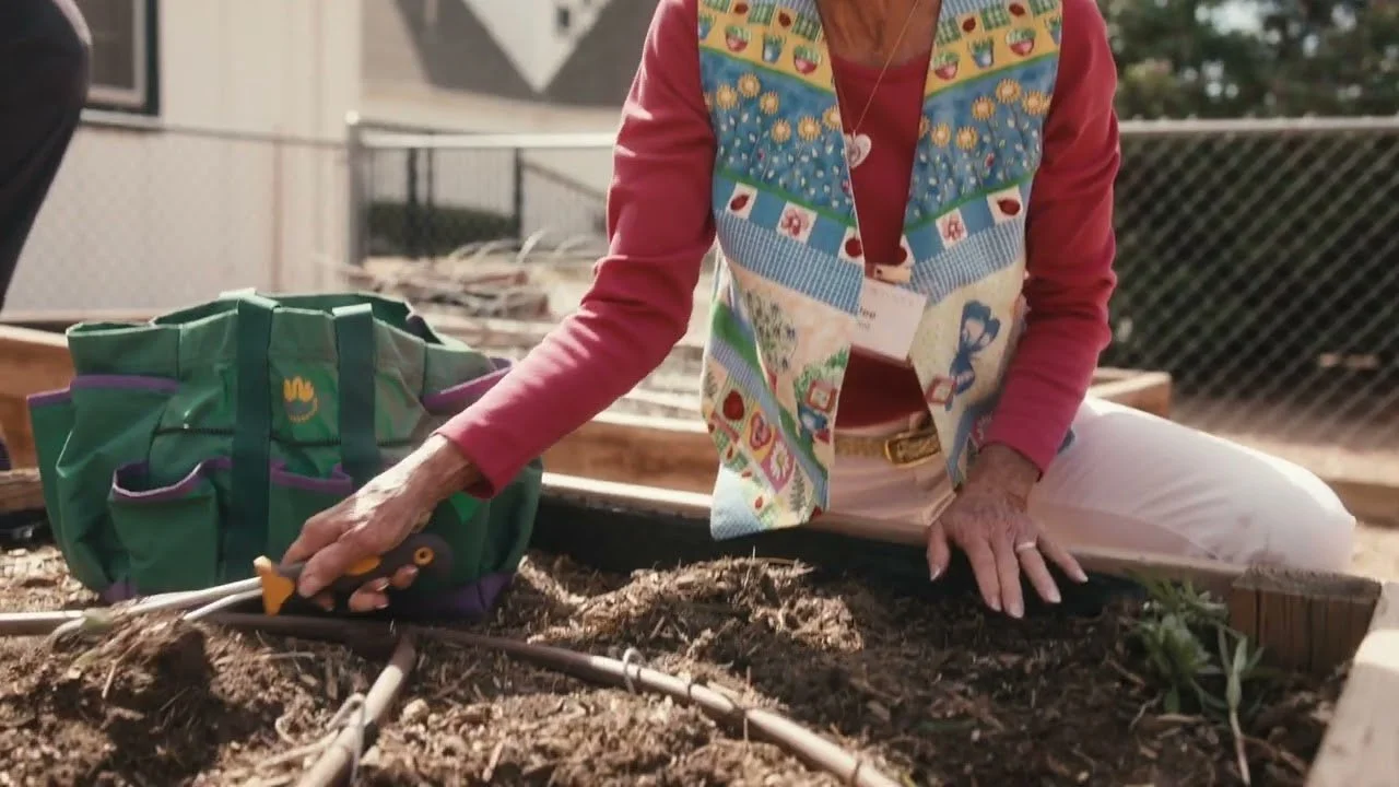 Gardening / Creation Care