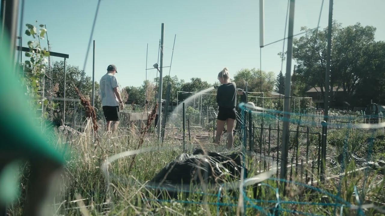 Gardening / Creation Care 2