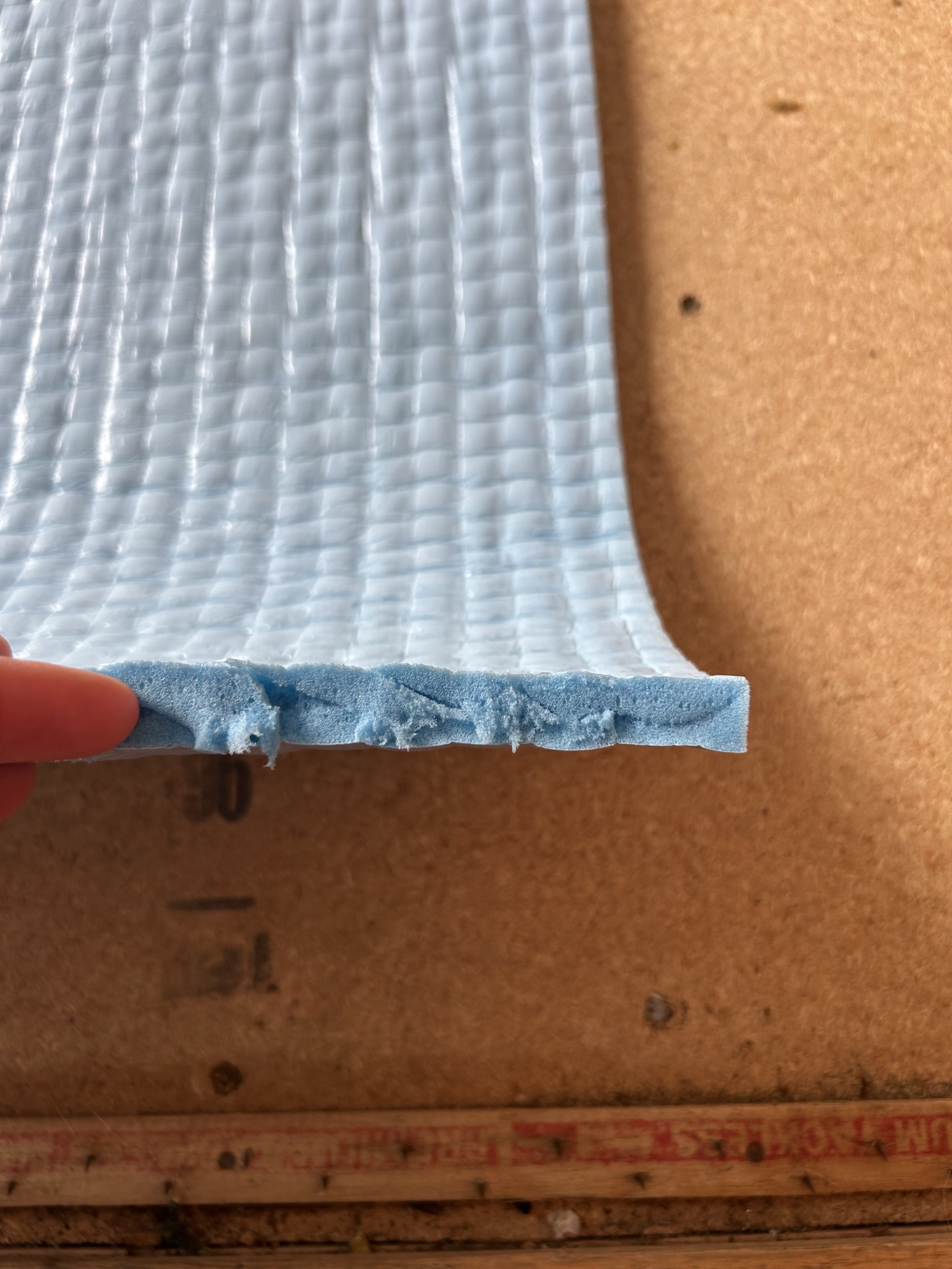 What’s Beneath Your Carpet?