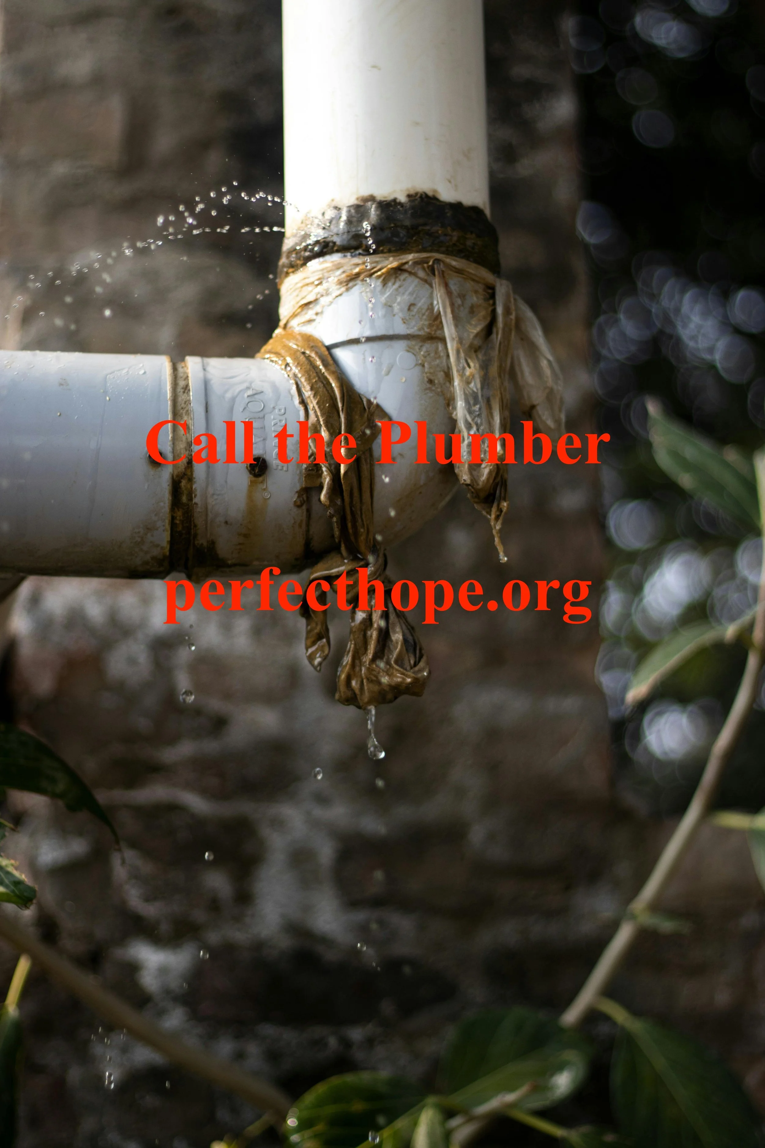 Call the Plumber