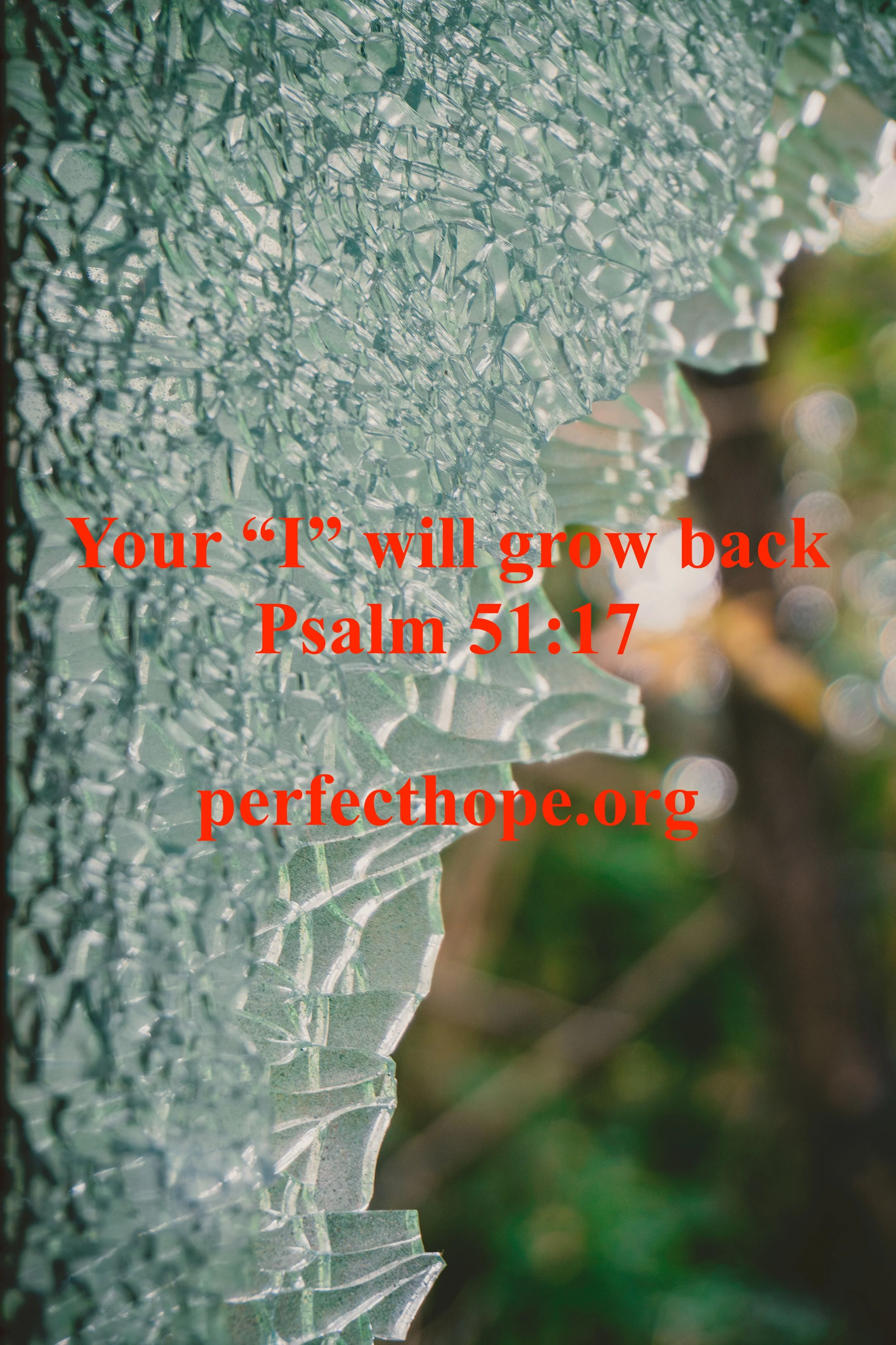 Your “I” will grow back