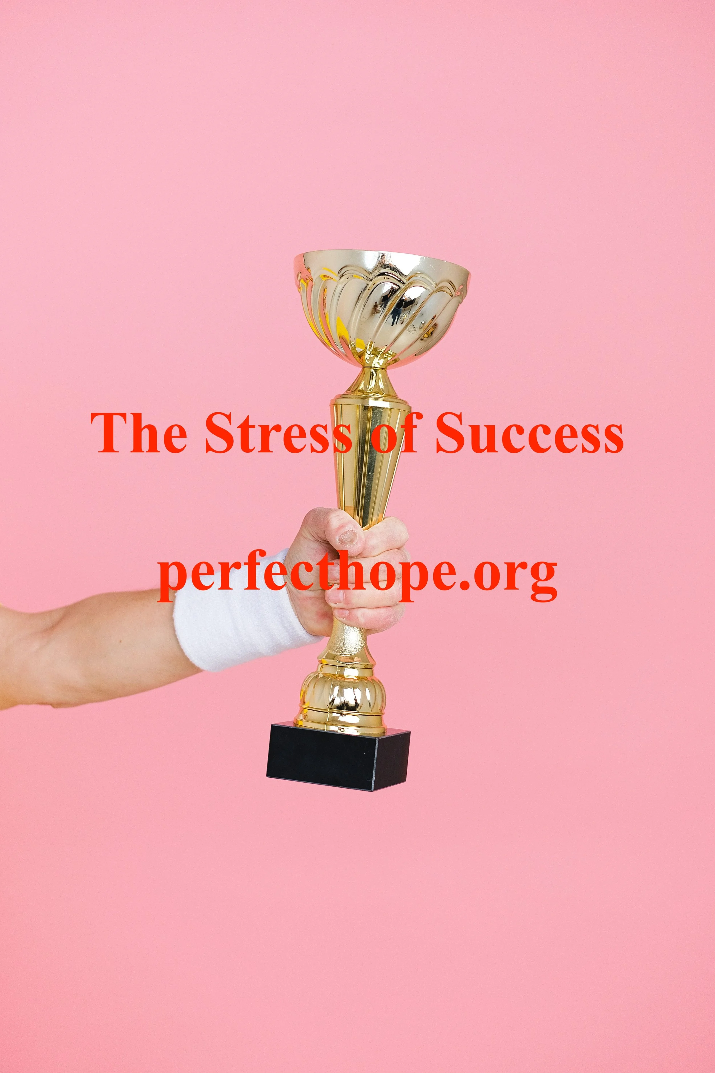 The Stress of Success