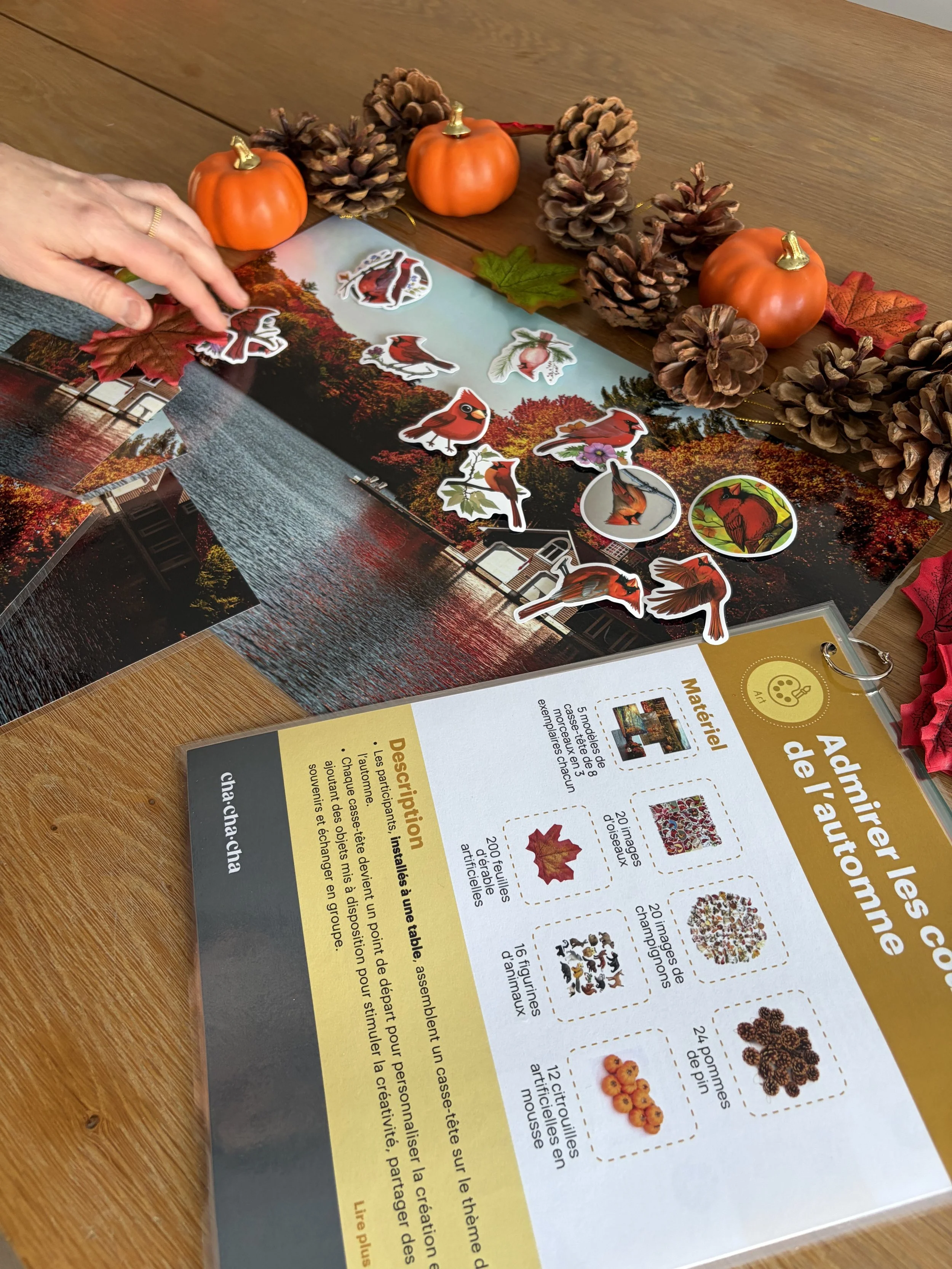 Coffret d’Activités Adaptées pour Groupe – Quatre Saisons