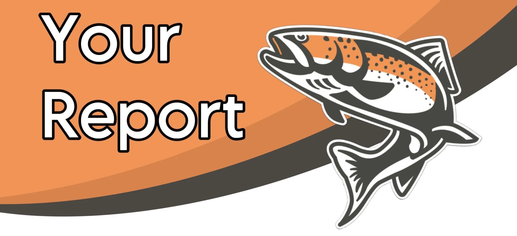 Your Report — SteelHead Property Inspections, LLC