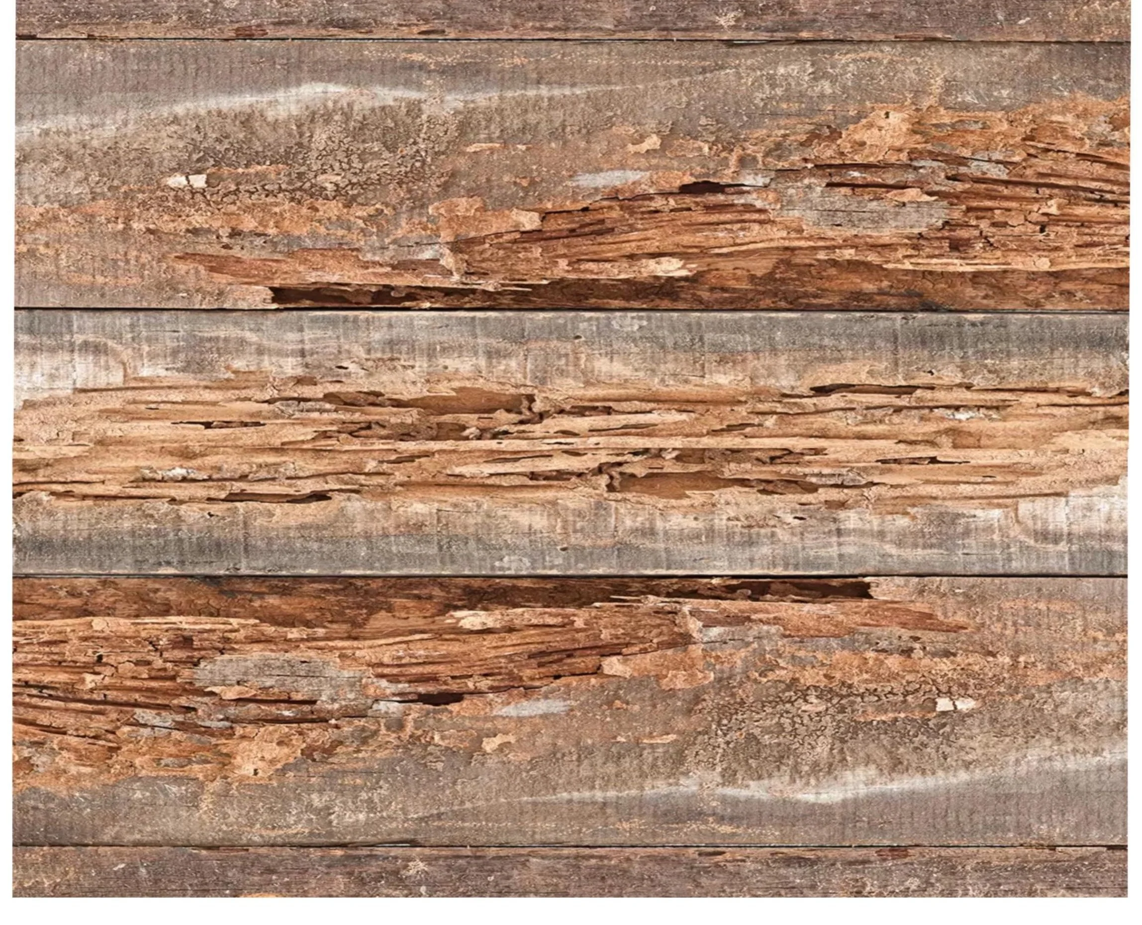 Pricing — SteelHead Property Inspections, LLC