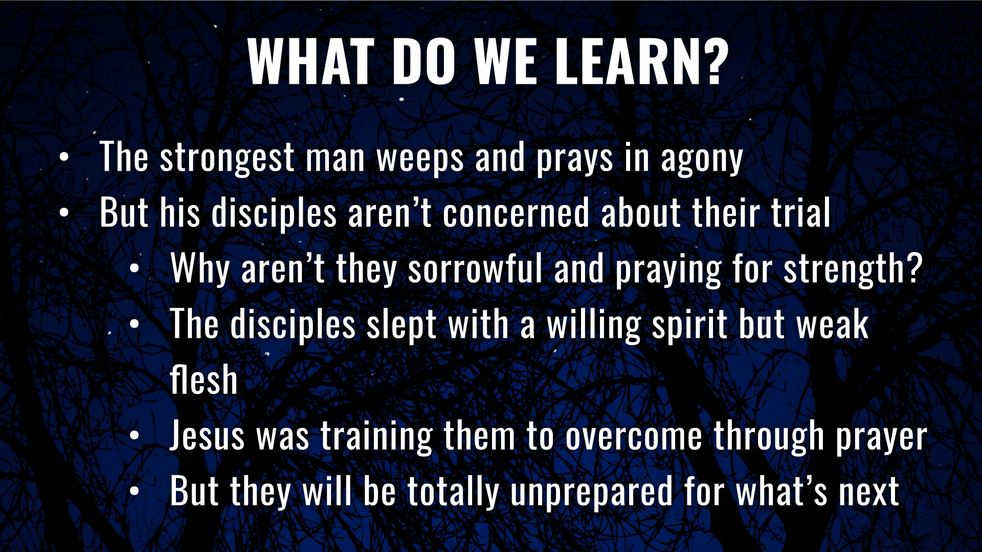 4 - What Do We Learn?.png
