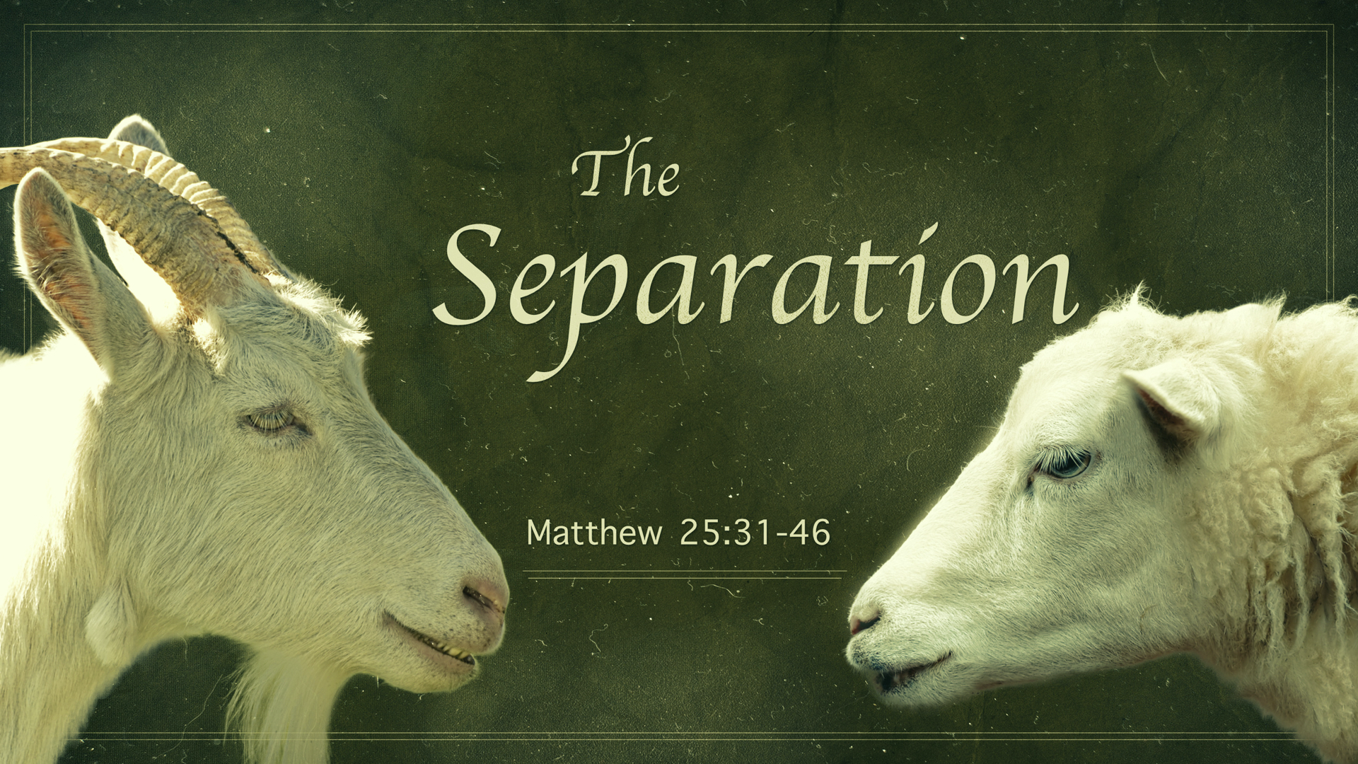 0 - 21.10.31a - Matthew 25.31-46 - The Separation - Title.png