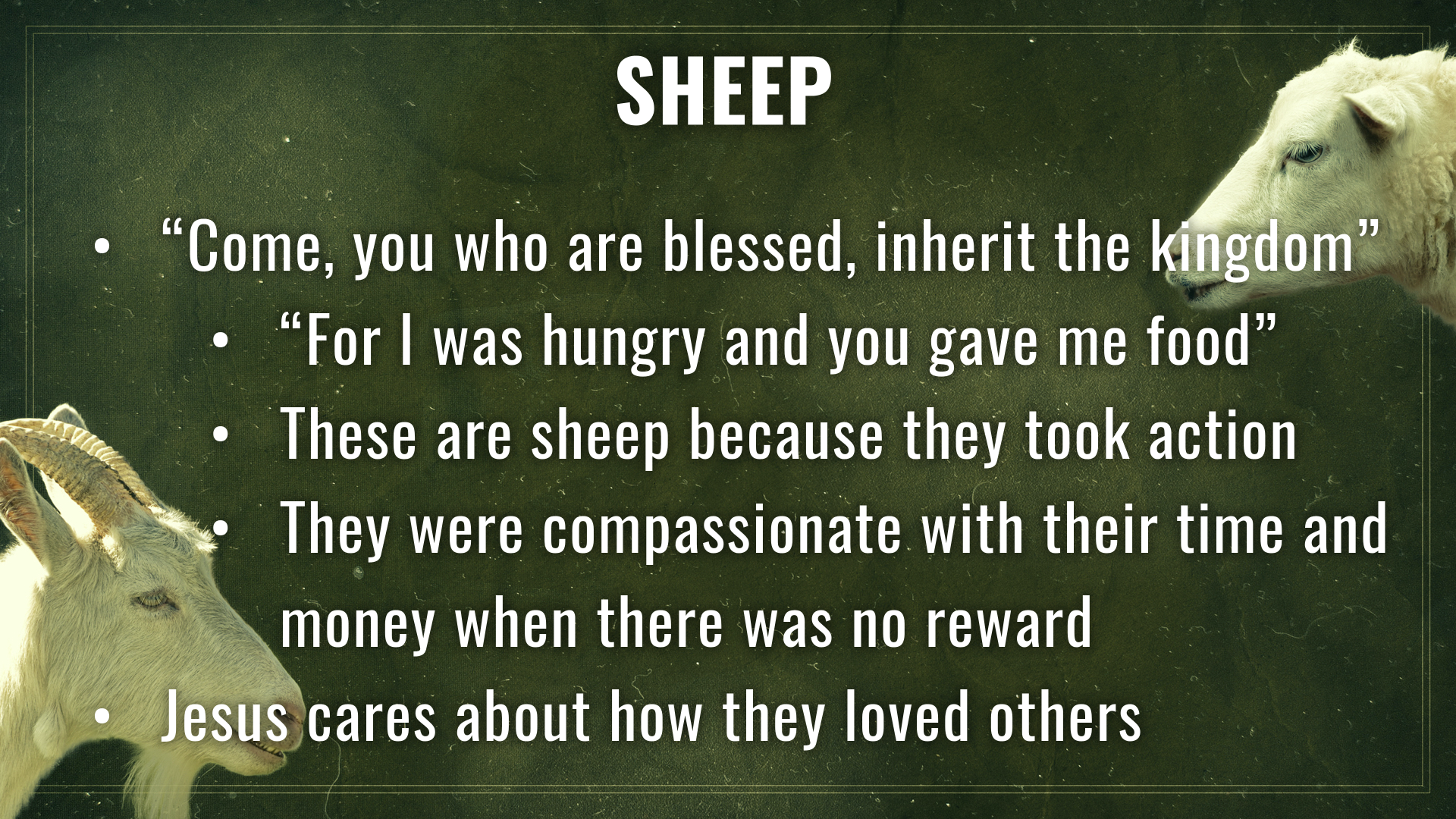 2 - Sheep.png