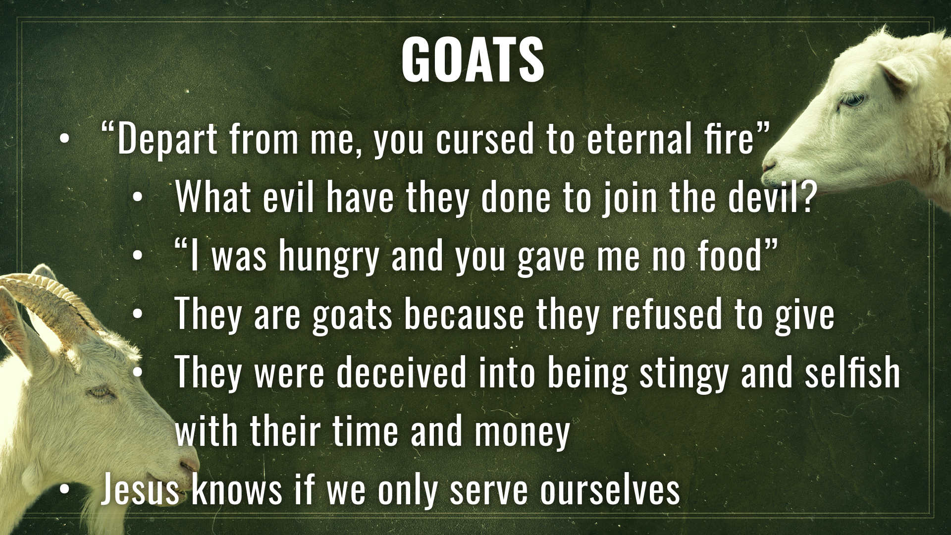3 - Goats.png
