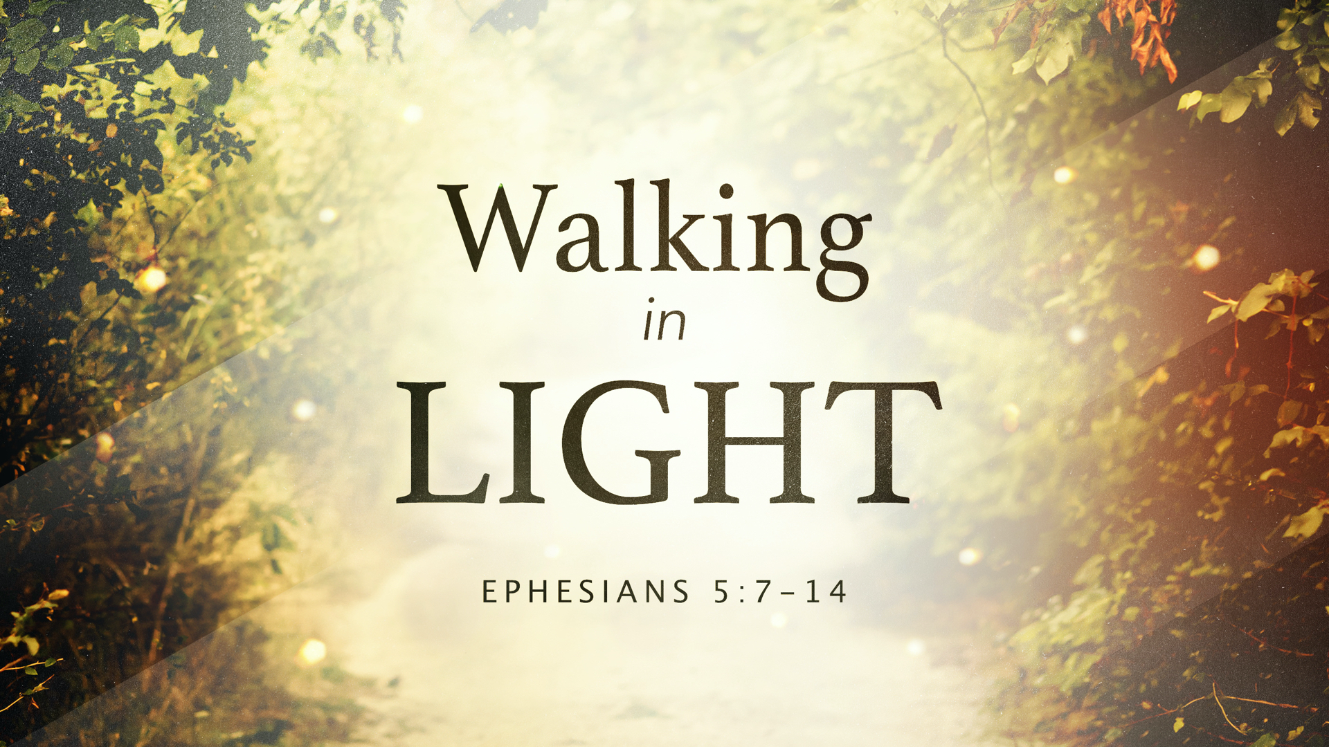 1 - 21.7.4p - Walking In Light - Title.png