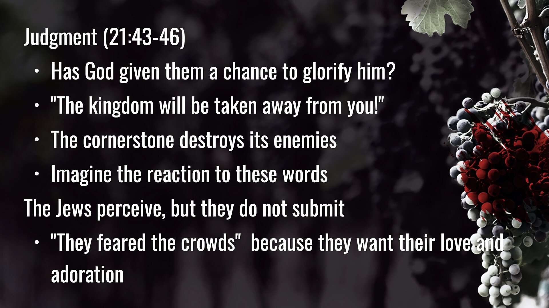 21.6.6a - Giving God His Fruit - Matthew 21.33-46.004.jpeg