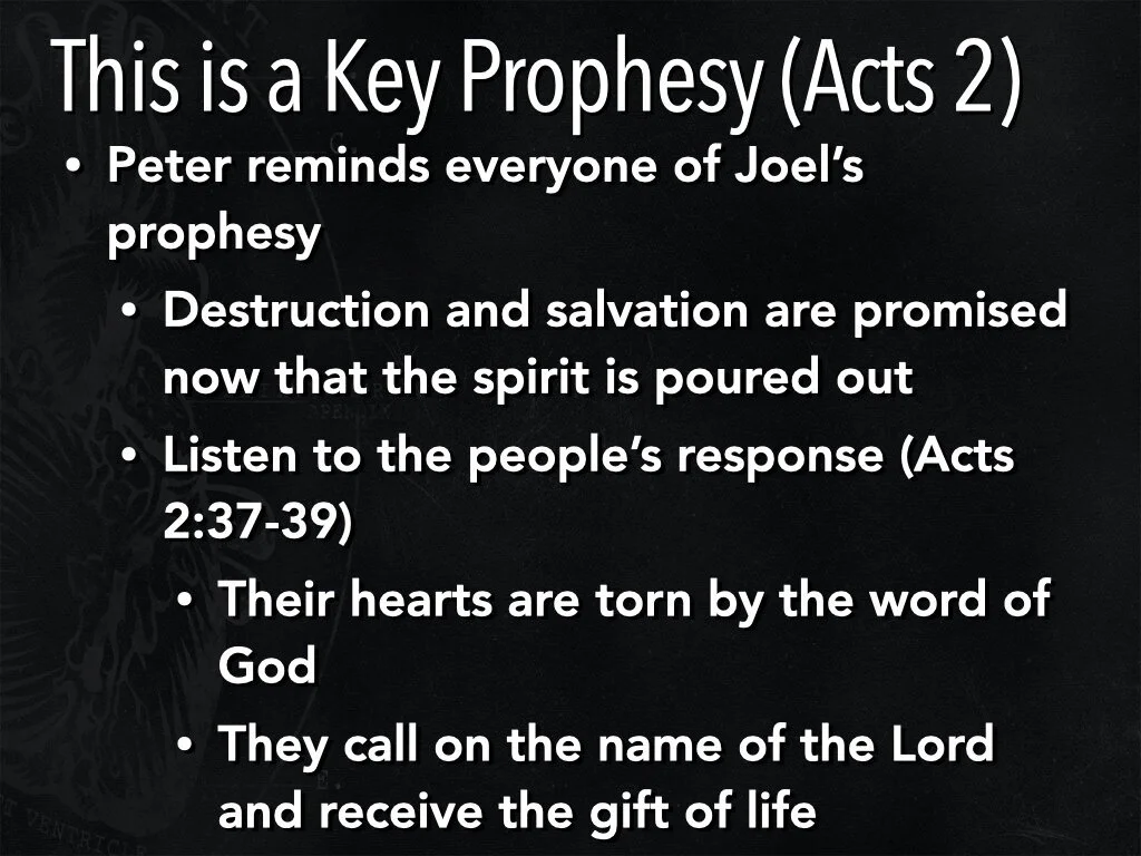 Joel - Tear Your Hearts.005.jpeg