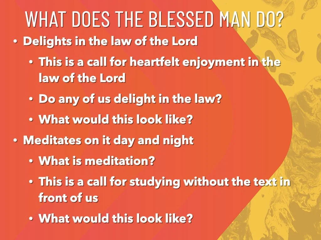 Psalm 1 - Blessed.003.jpeg
